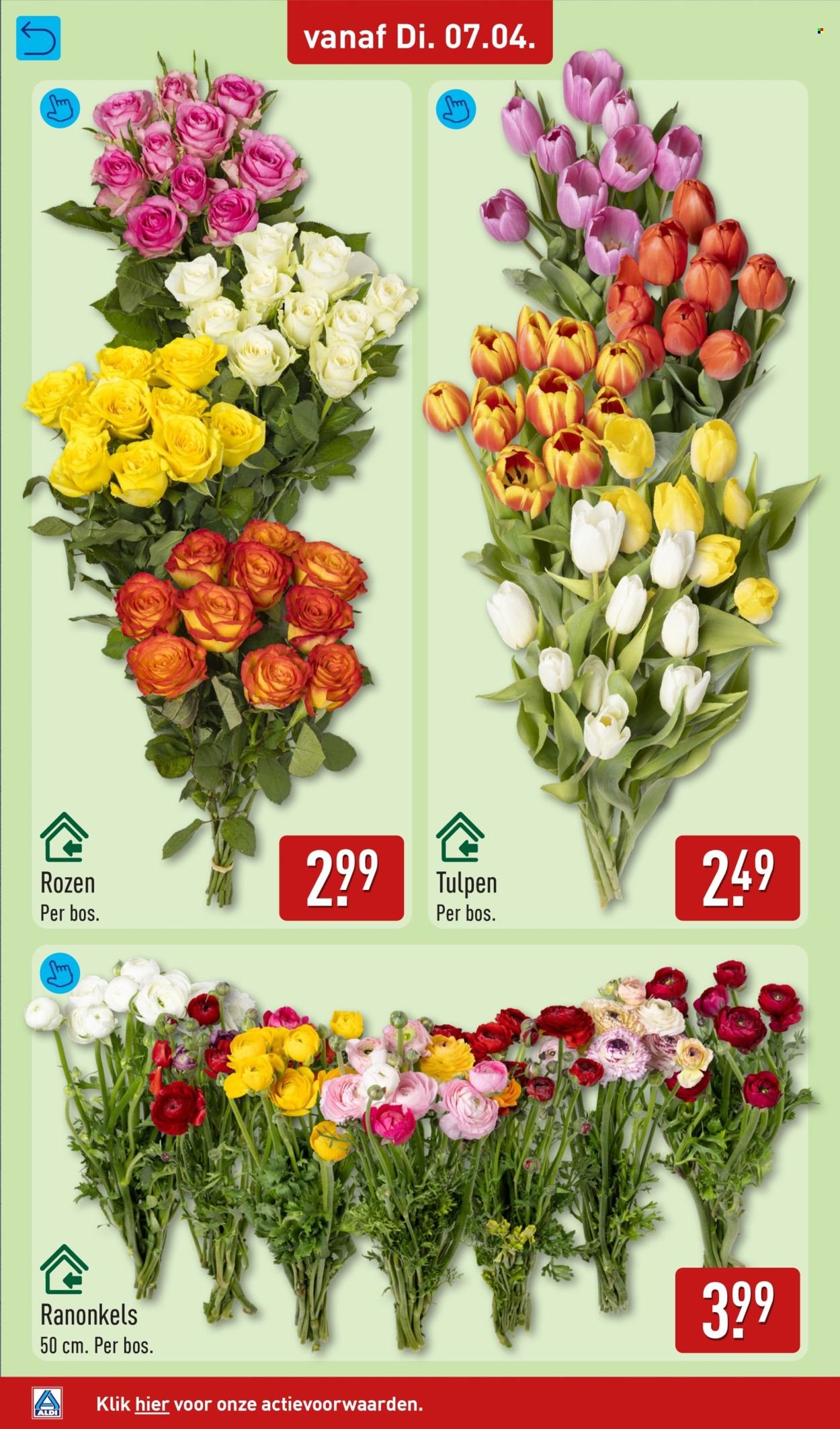 ALDI folder - Van dinsdag 7 april 2026