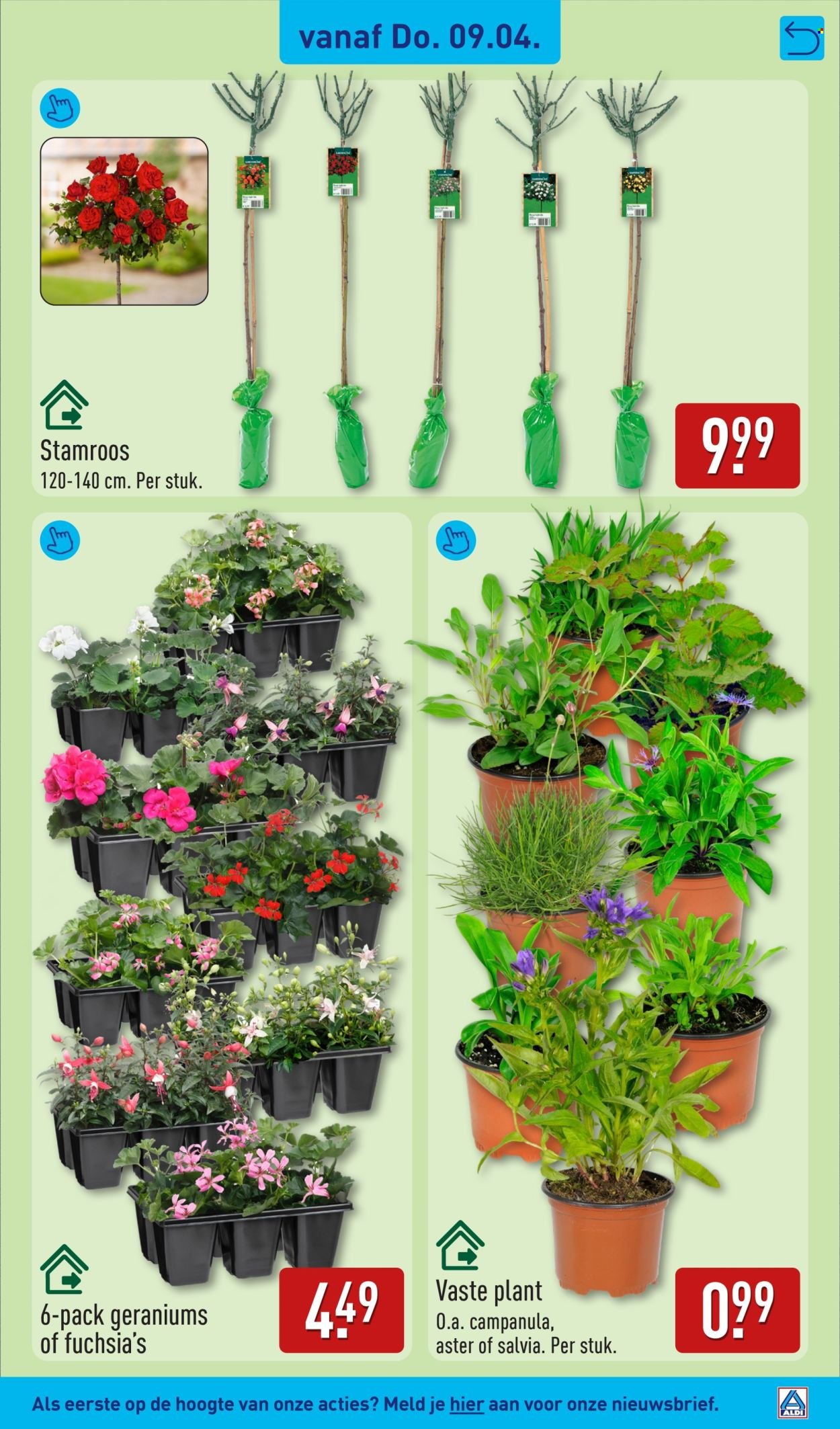 ALDI folder - Van dinsdag 7 april 2026