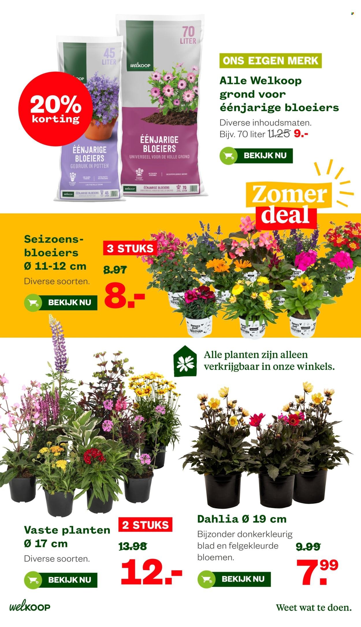WELKOOP folder - Van maandag 6 juli 2026