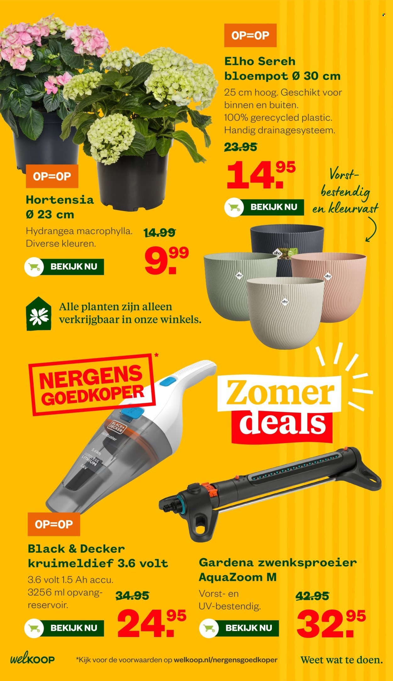 WELKOOP folder - Van maandag 6 juli 2026