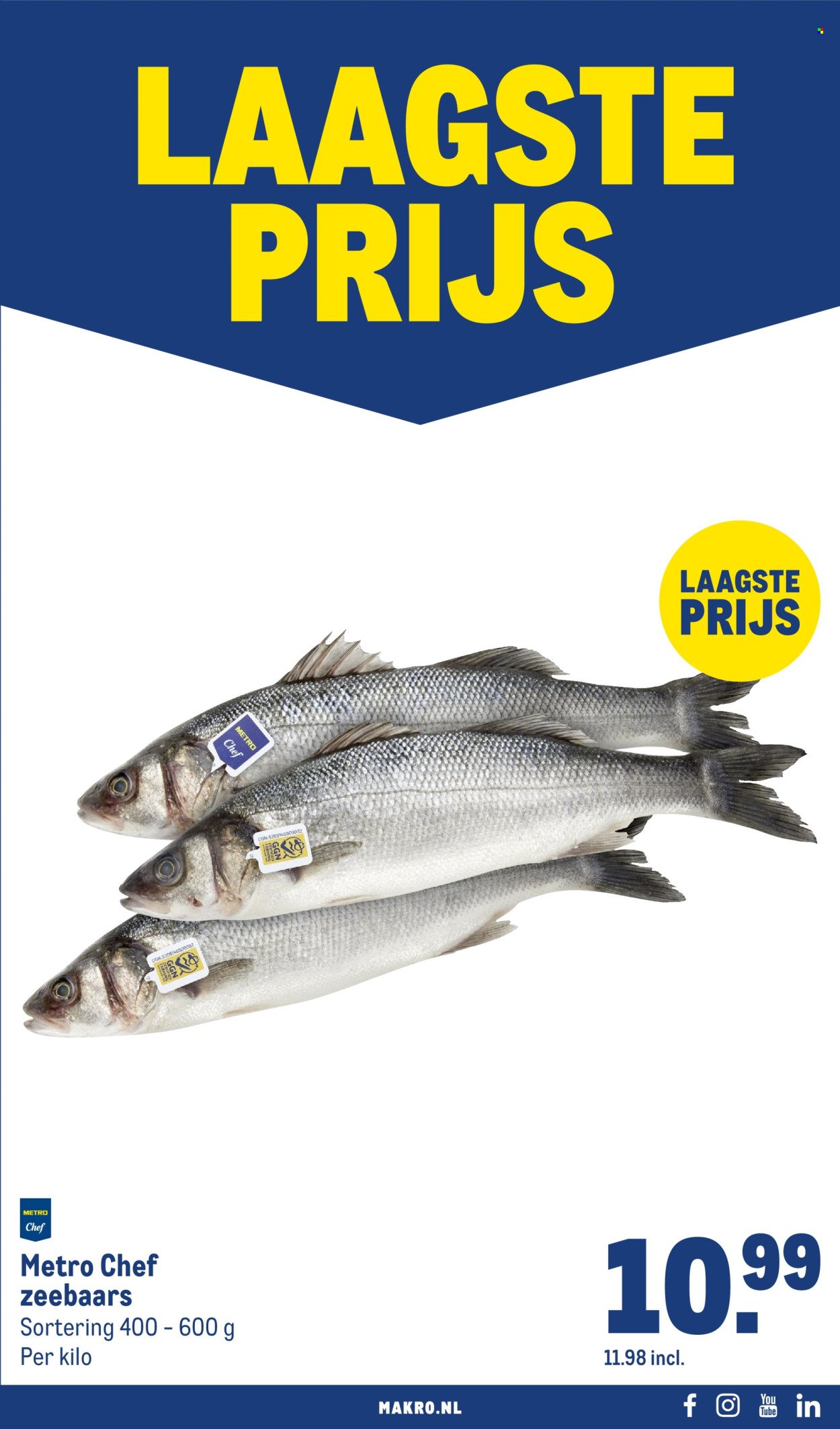 MAKRO folder - Food