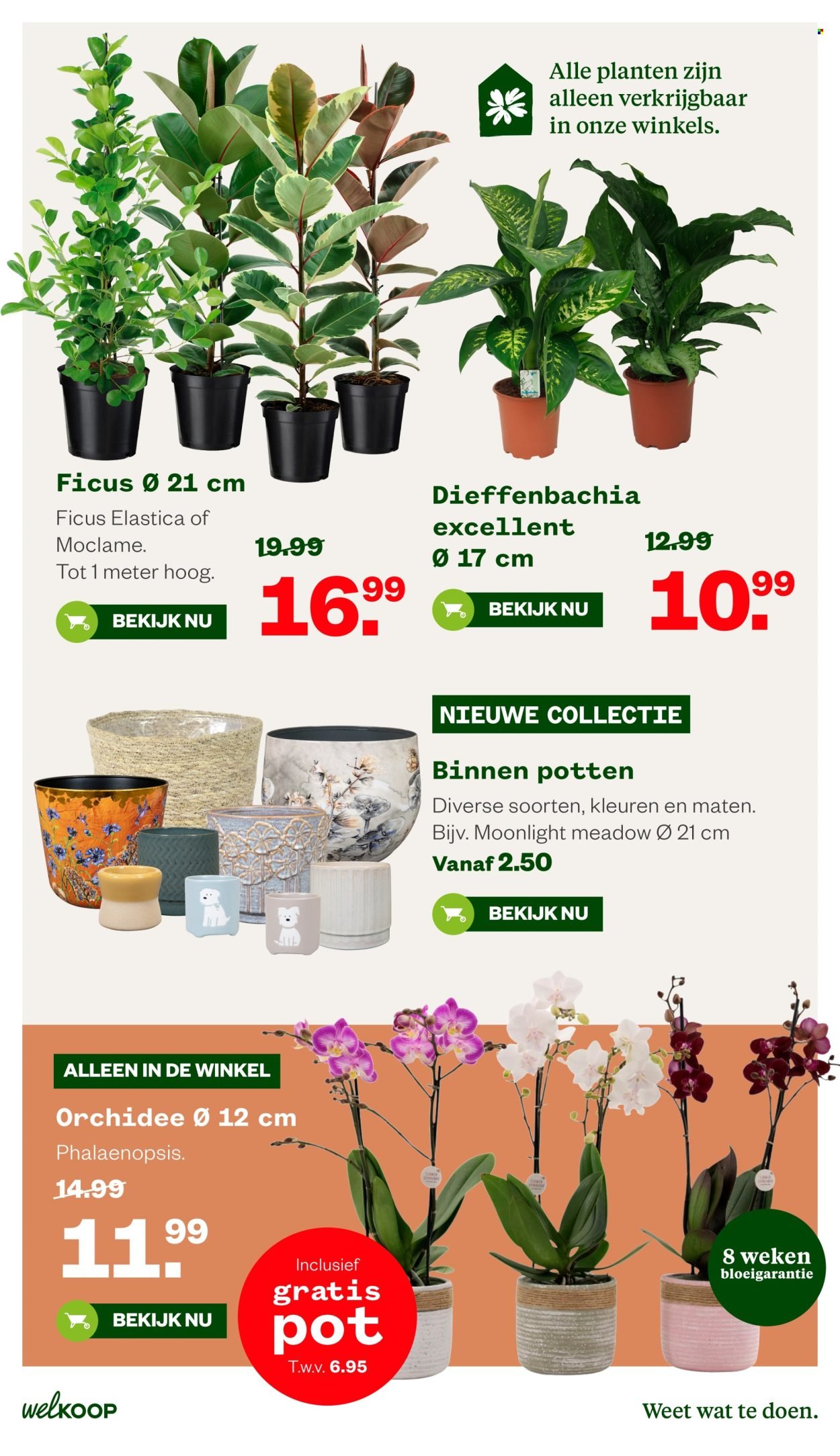 WELKOOP folder - Van maandag 7 september 2026