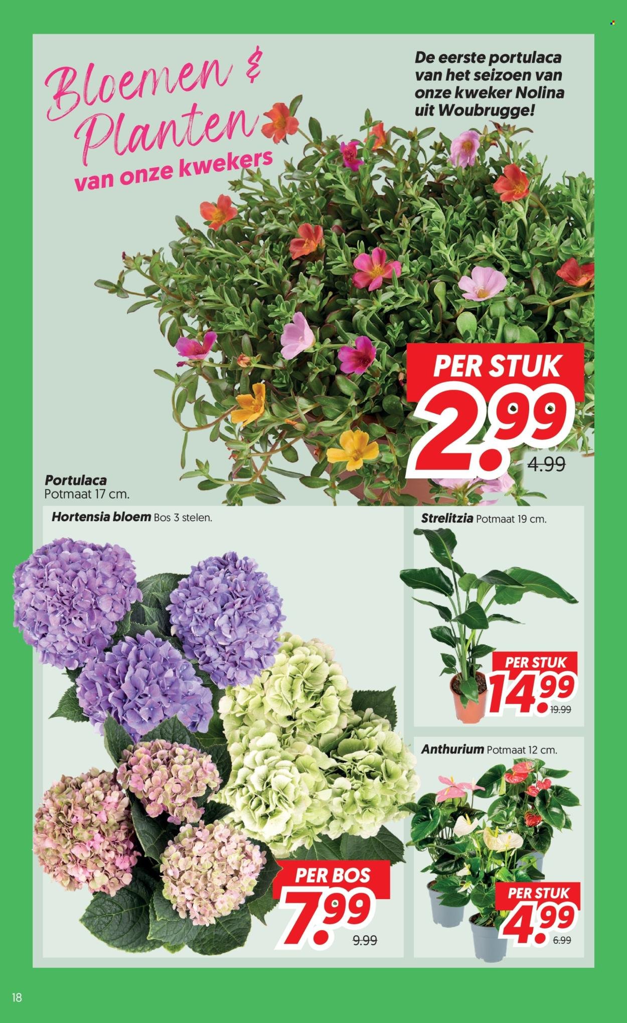 DEKAMARKT folder - Van dinsdag 9 juni 2026