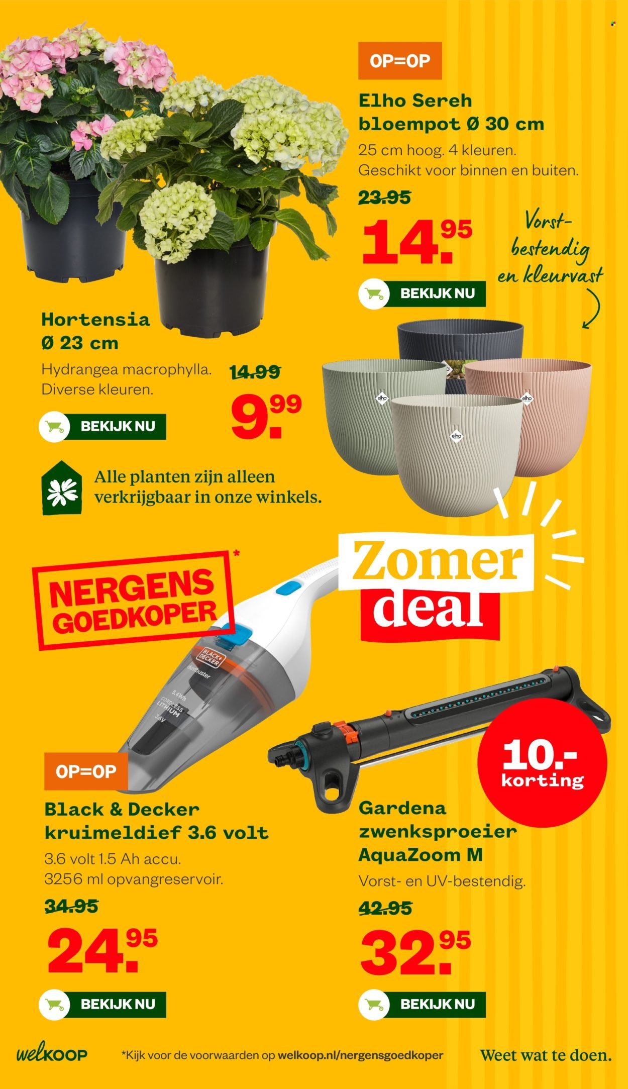 WELKOOP folder - Van maandag 22 juni 2026