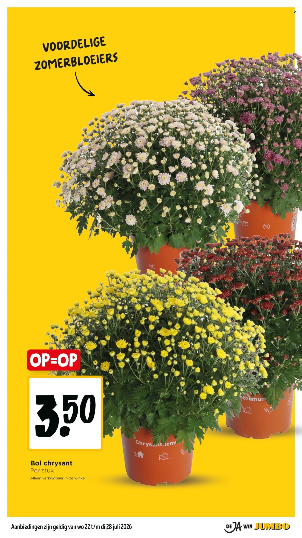 JUMBO folder - Van woensdag 22 juli 2026