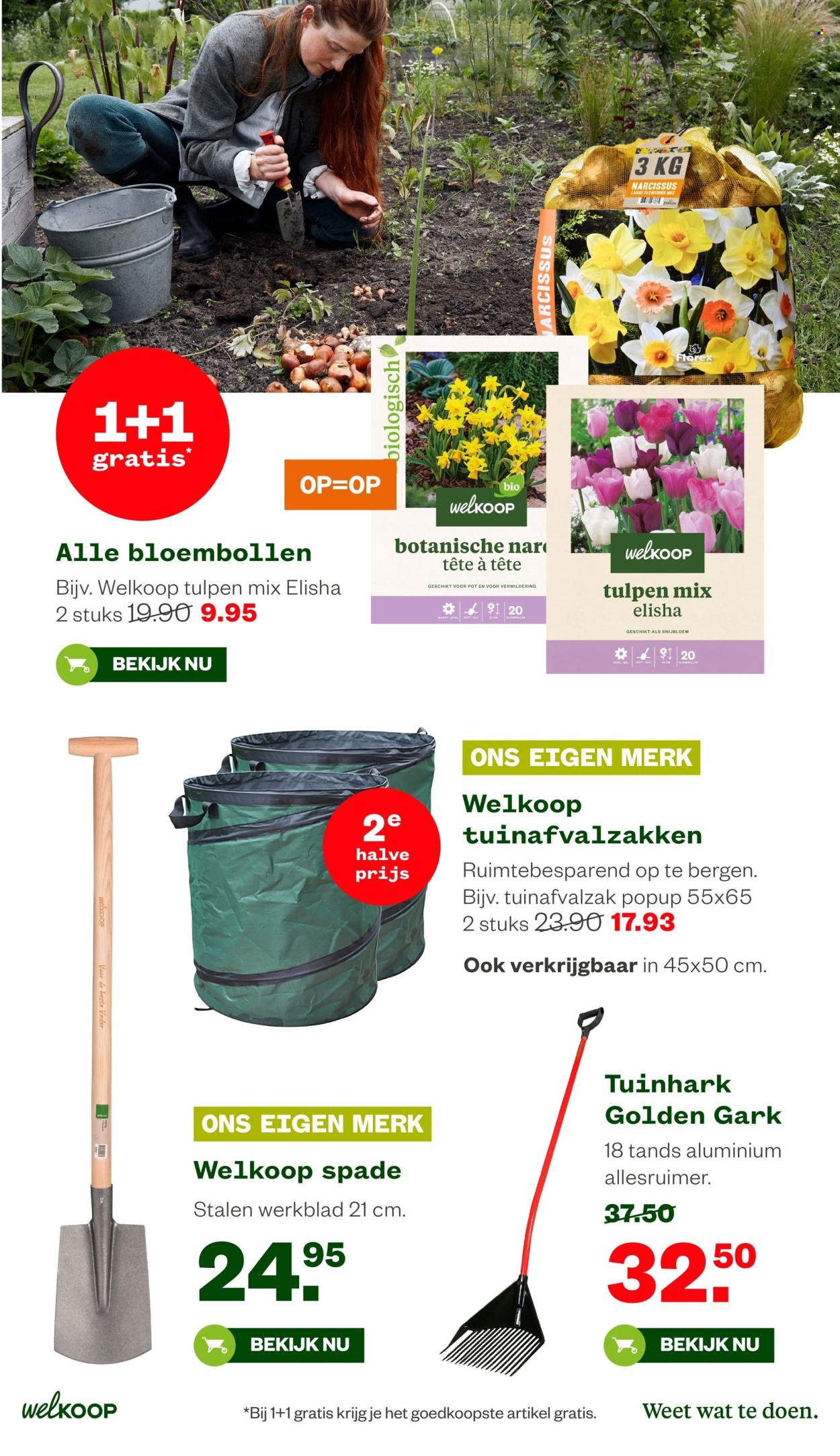 WELKOOP folder - Van maandag 8 december 2025 (2025-12-08 - 2025-12-28)