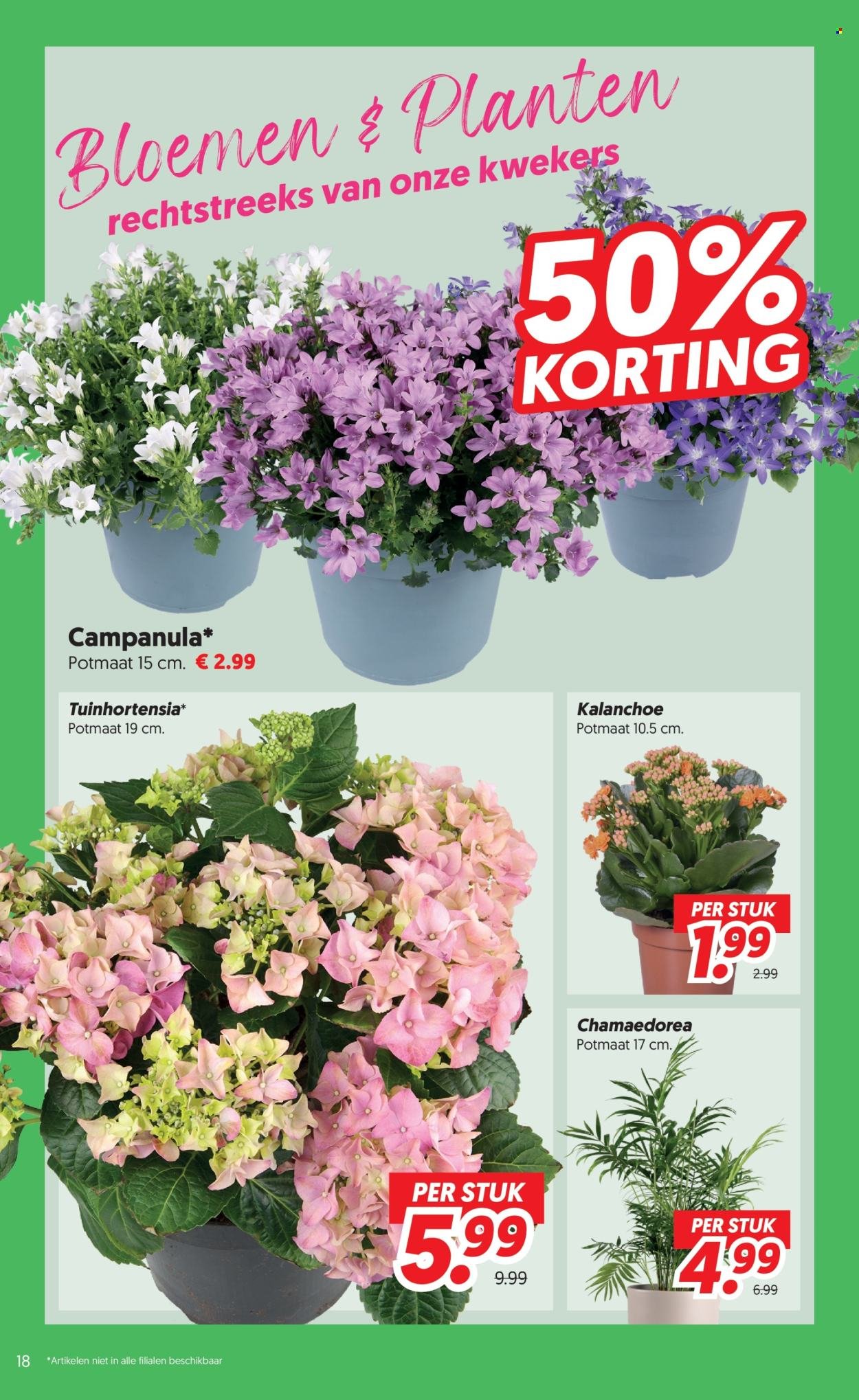 DEKAMARKT folder - Van dinsdag 16 juni 2026