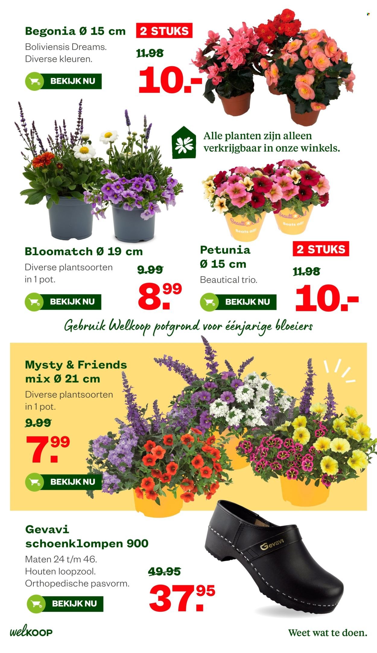 WELKOOP folder - Van vrijdag 26 juni 2026