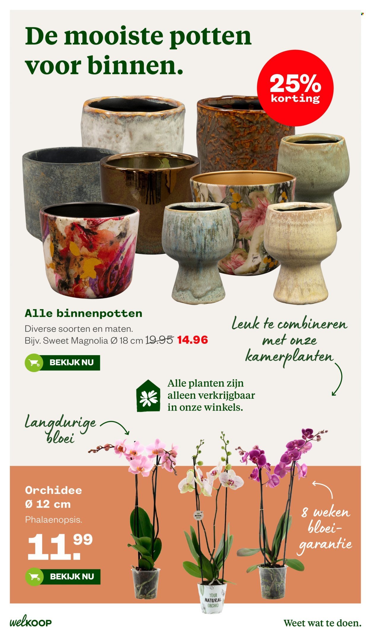 WELKOOP folder - Van vrijdag 26 juni 2026