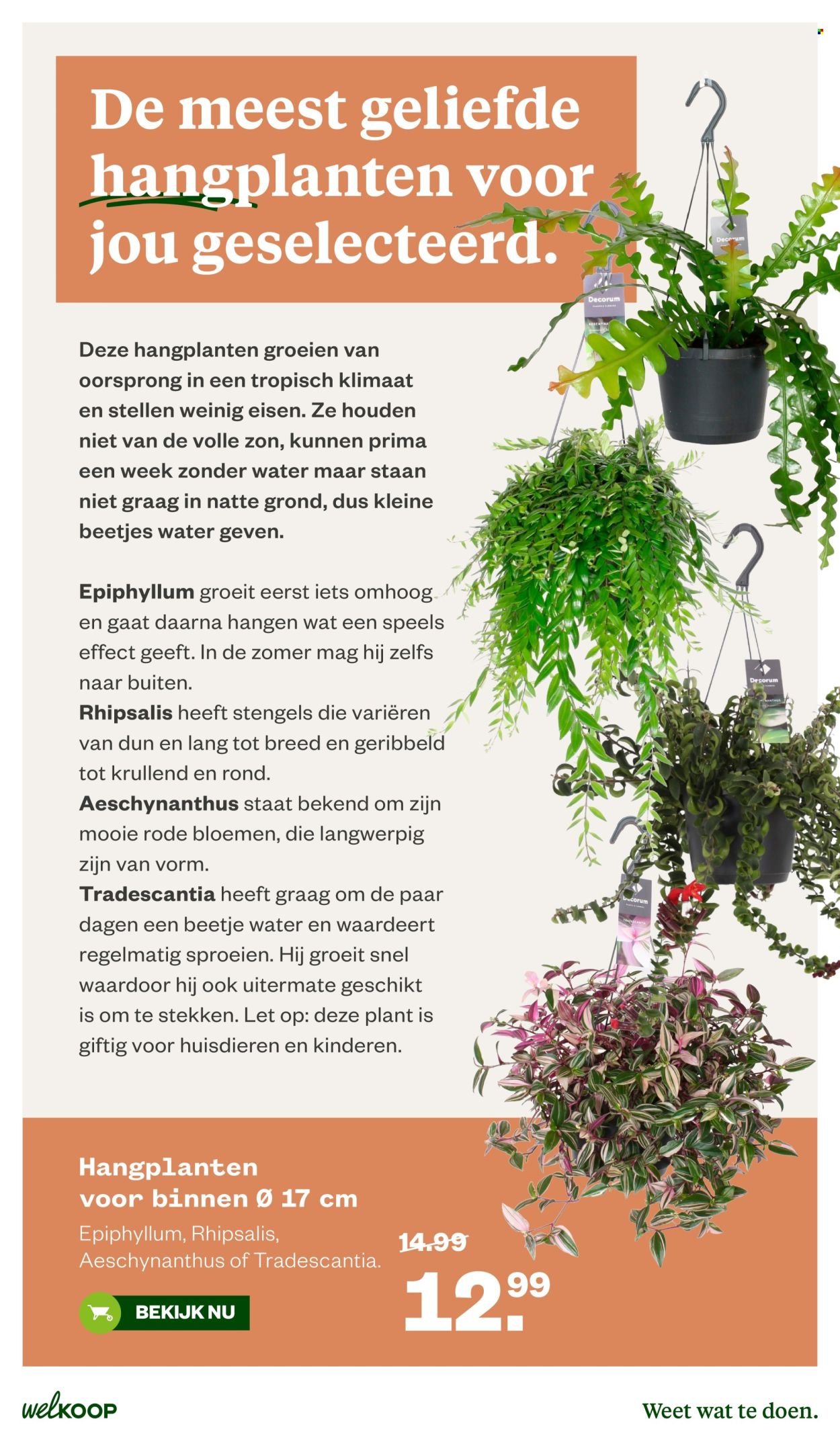 WELKOOP folder - Van vrijdag 26 juni 2026
