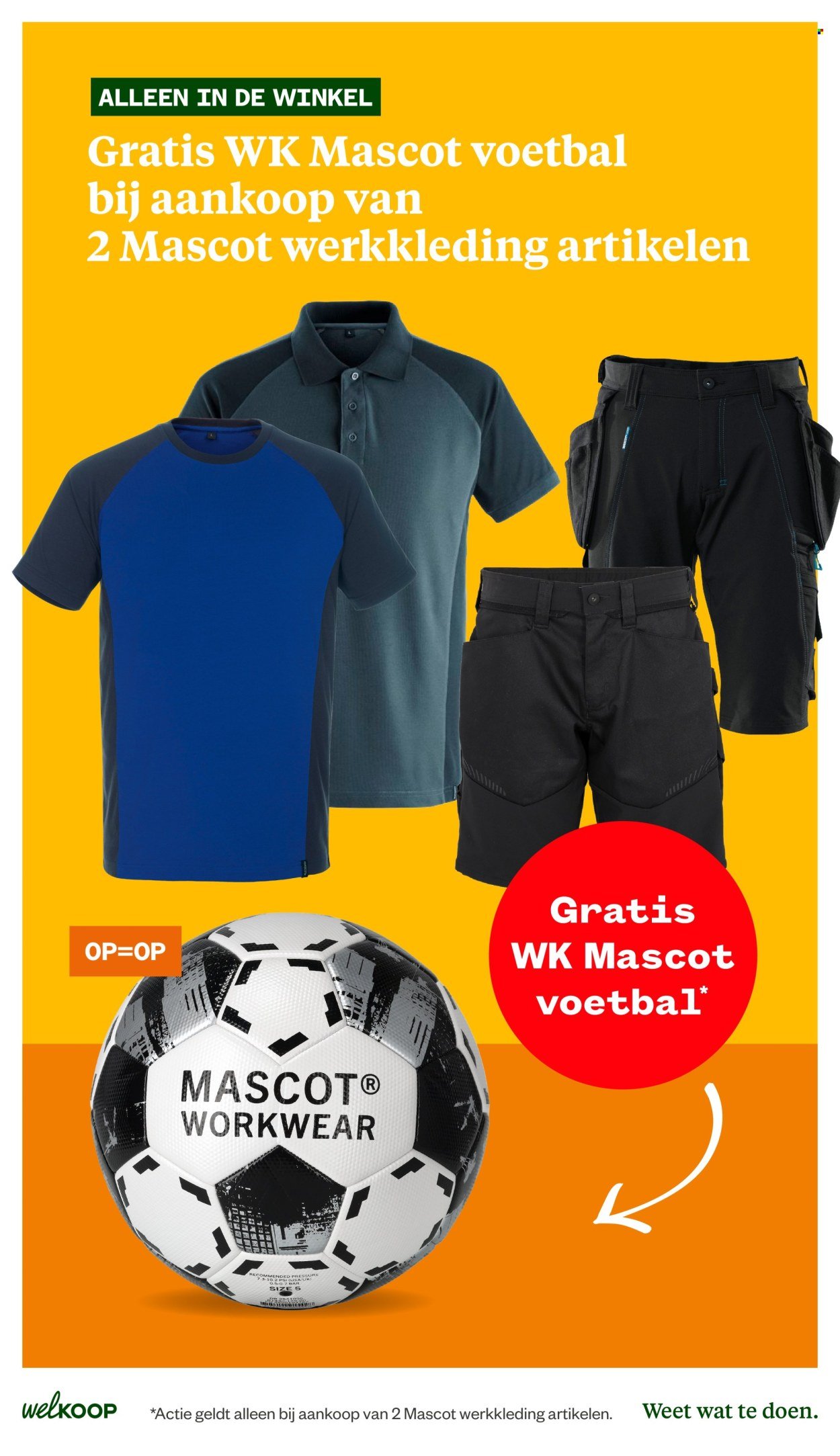 WELKOOP folder - Van vrijdag 26 juni 2026