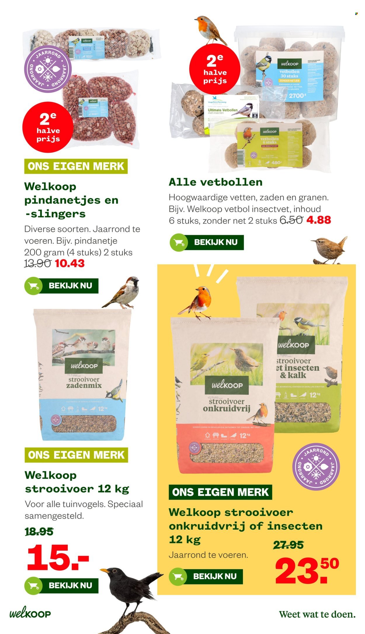 WELKOOP folder - Van vrijdag 26 juni 2026