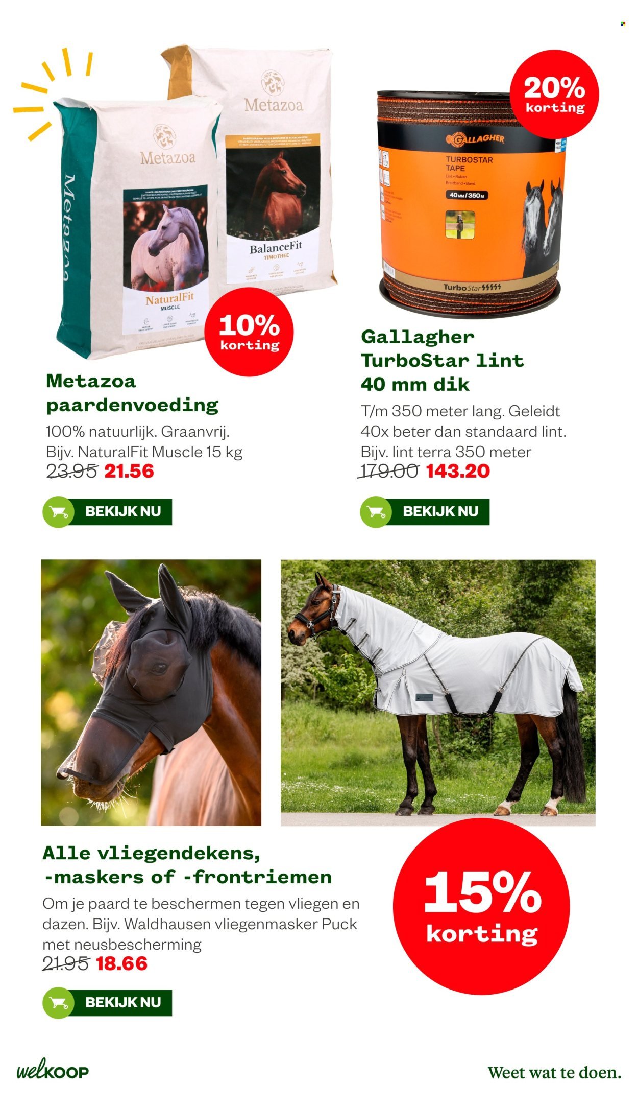 WELKOOP folder - Van vrijdag 26 juni 2026