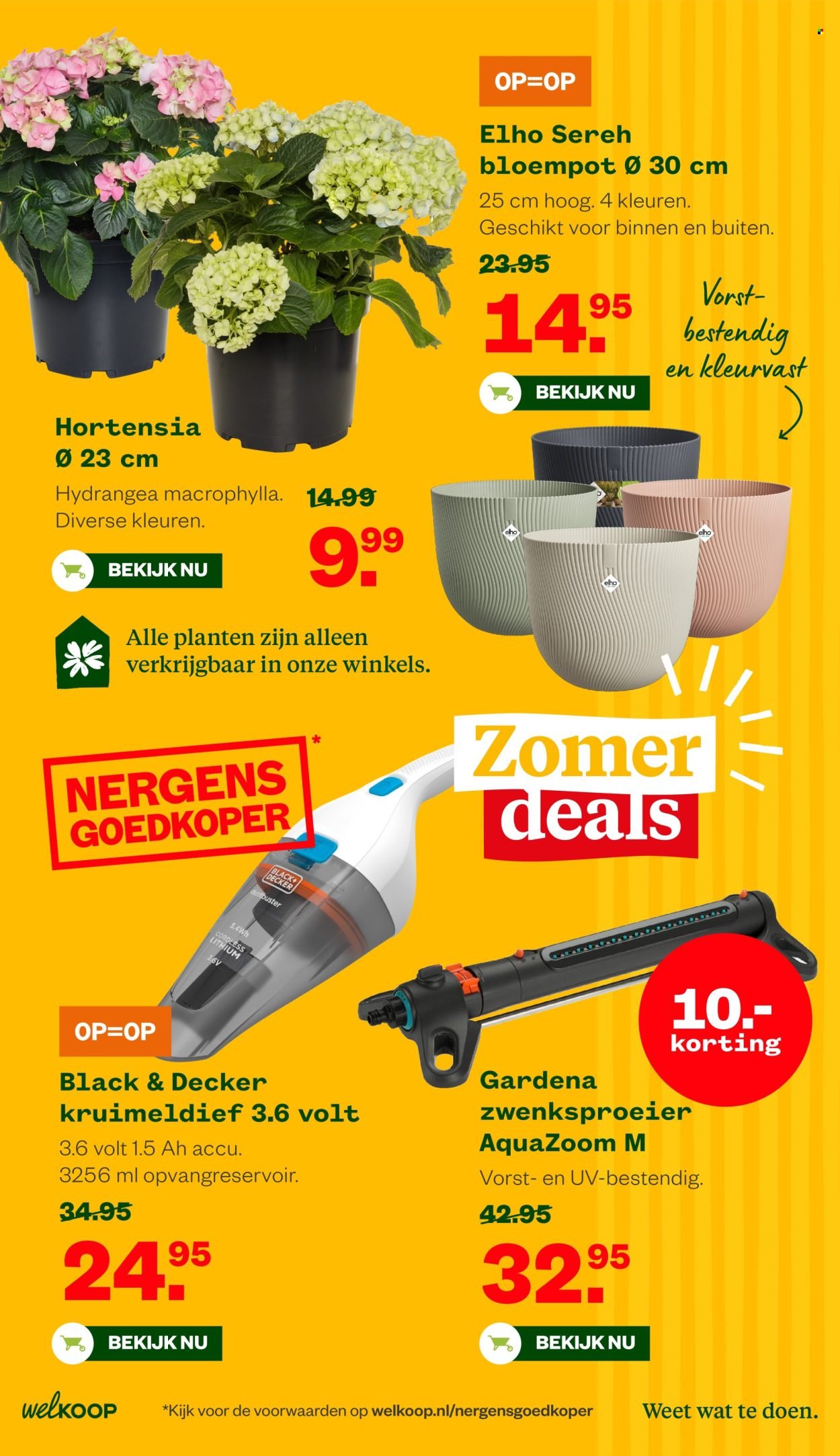 WELKOOP folder - Van vrijdag 26 juni 2026