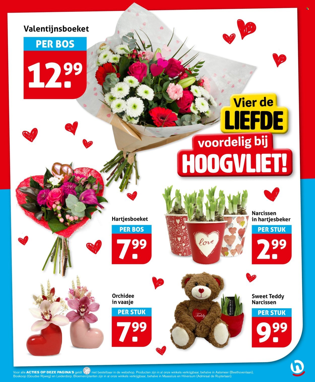 HOOGVLIET folder - Van woensdag 11 februari 2026