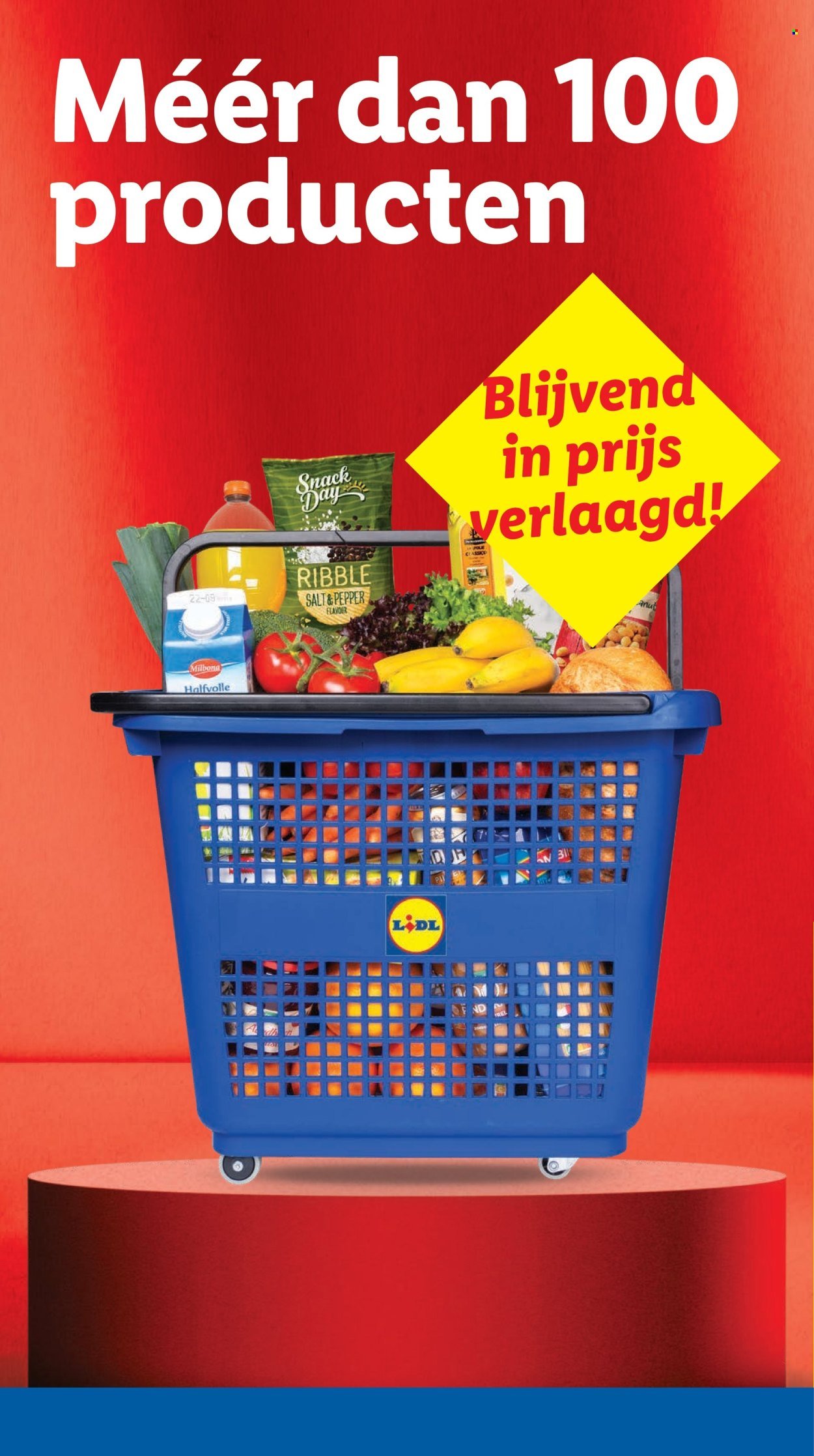 LIDL folder - Week 41 (2025-10-06 - 2025-10-12)