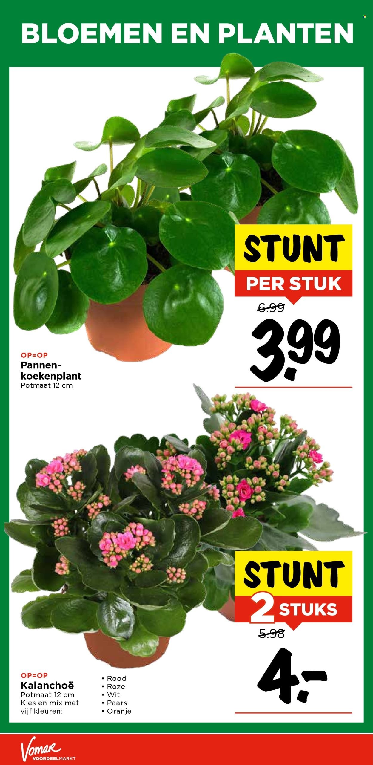 VOMAR folder - Van donderdag 6 november 2025 (2025-11-06 - 2025-11-08)