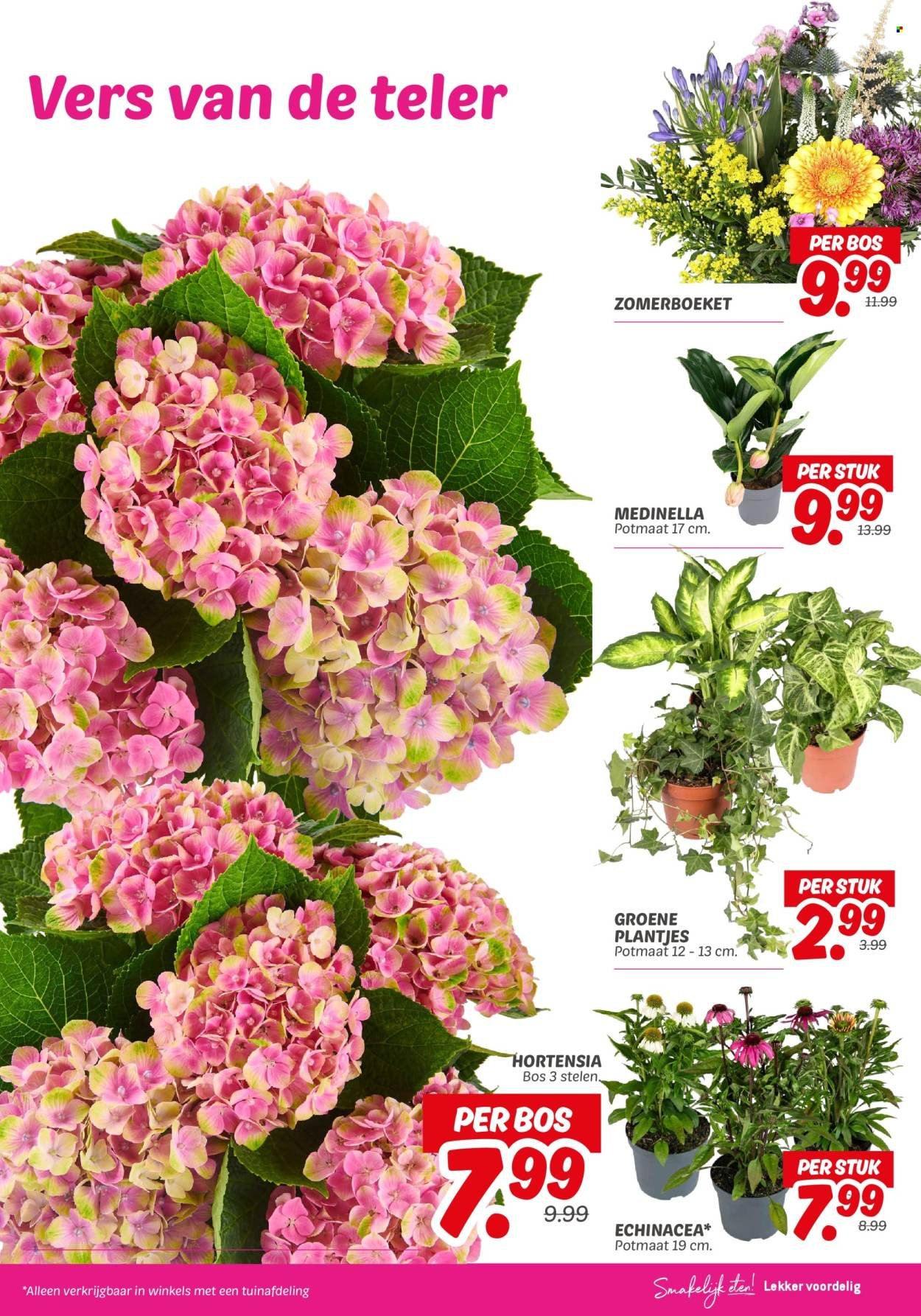 DEKAMARKT folder - Van dinsdag 19 augustus 2025 (2025-08-19 - 2025-08-25)