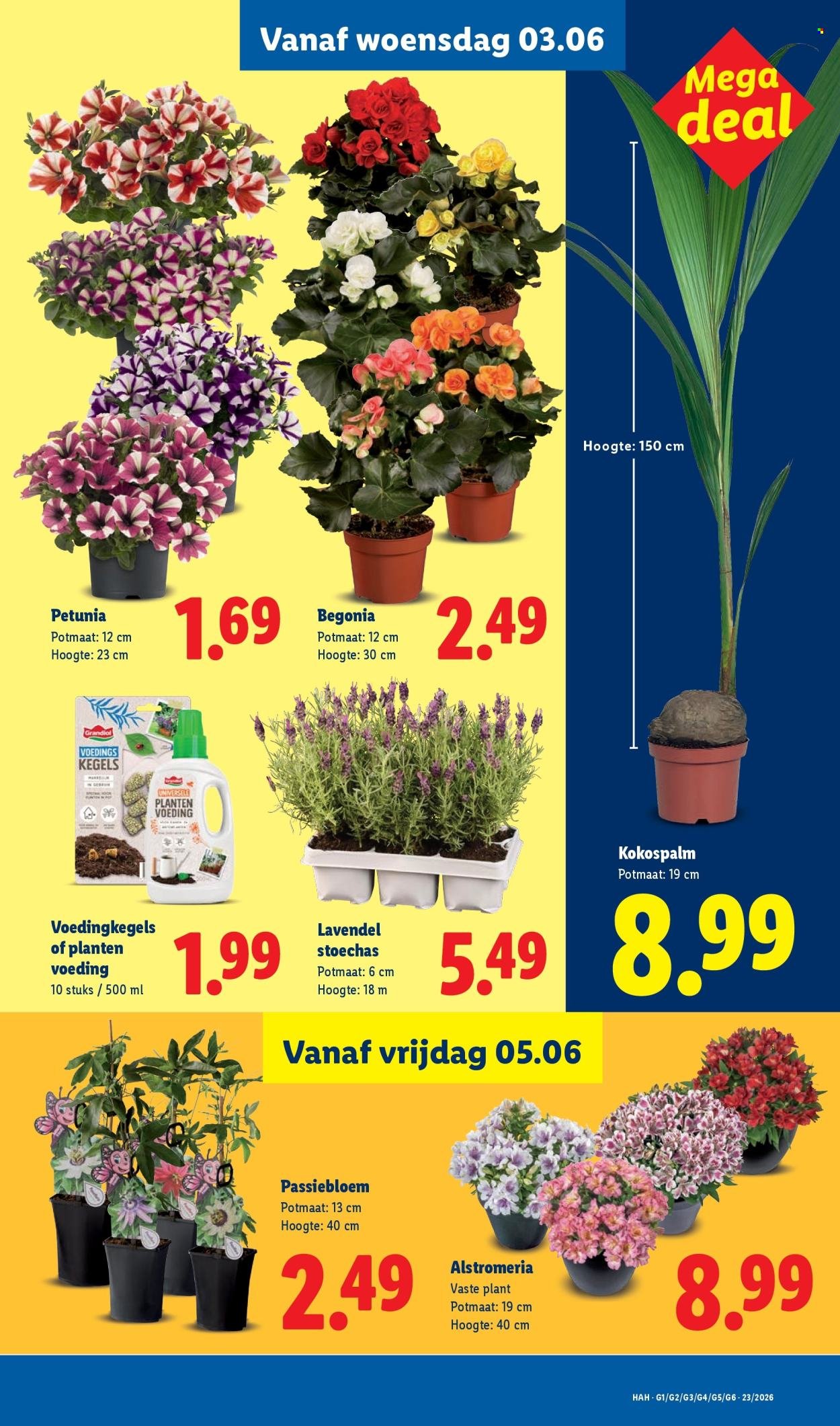 LIDL folder - Week 23