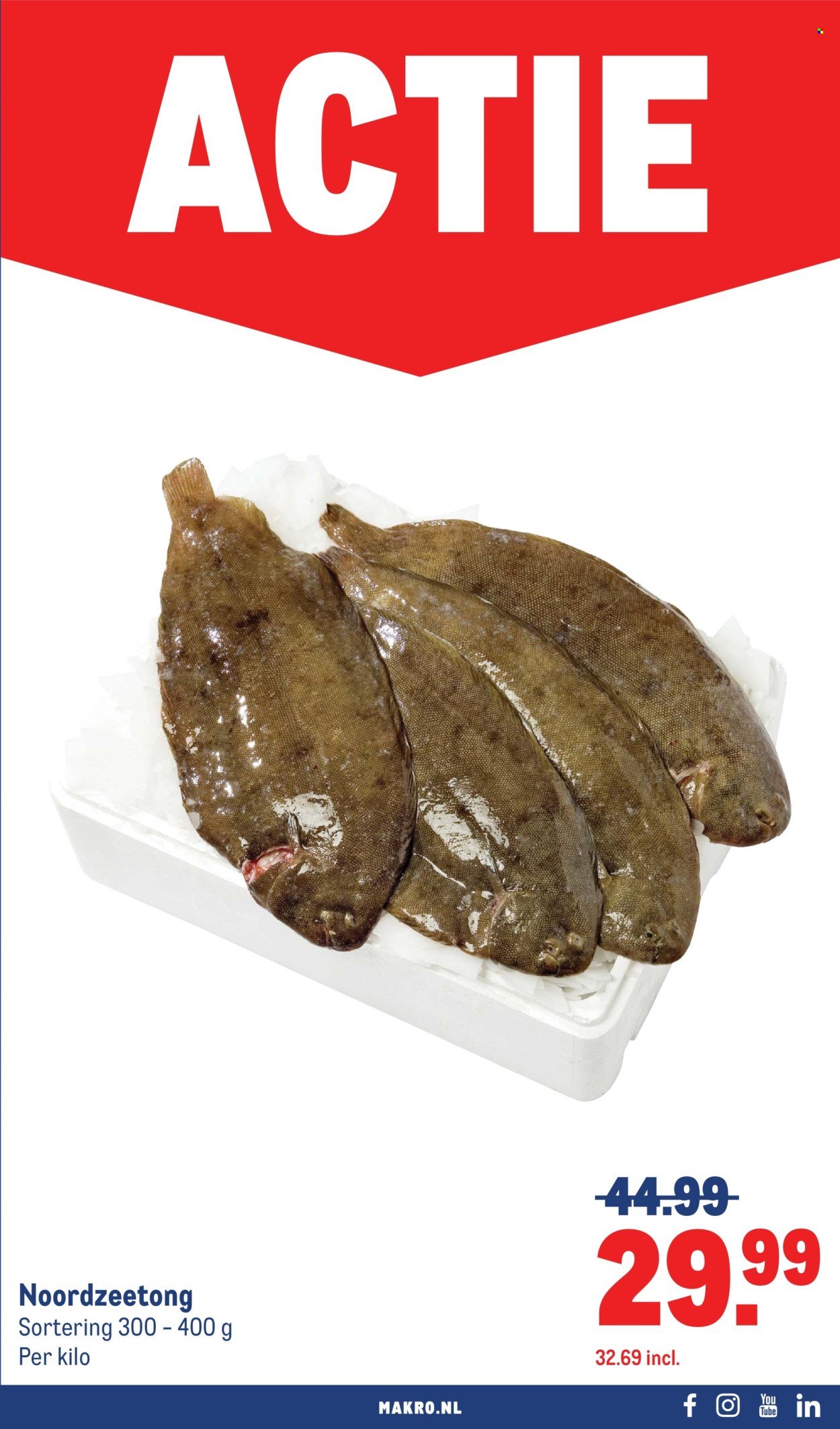MAKRO folder - Food