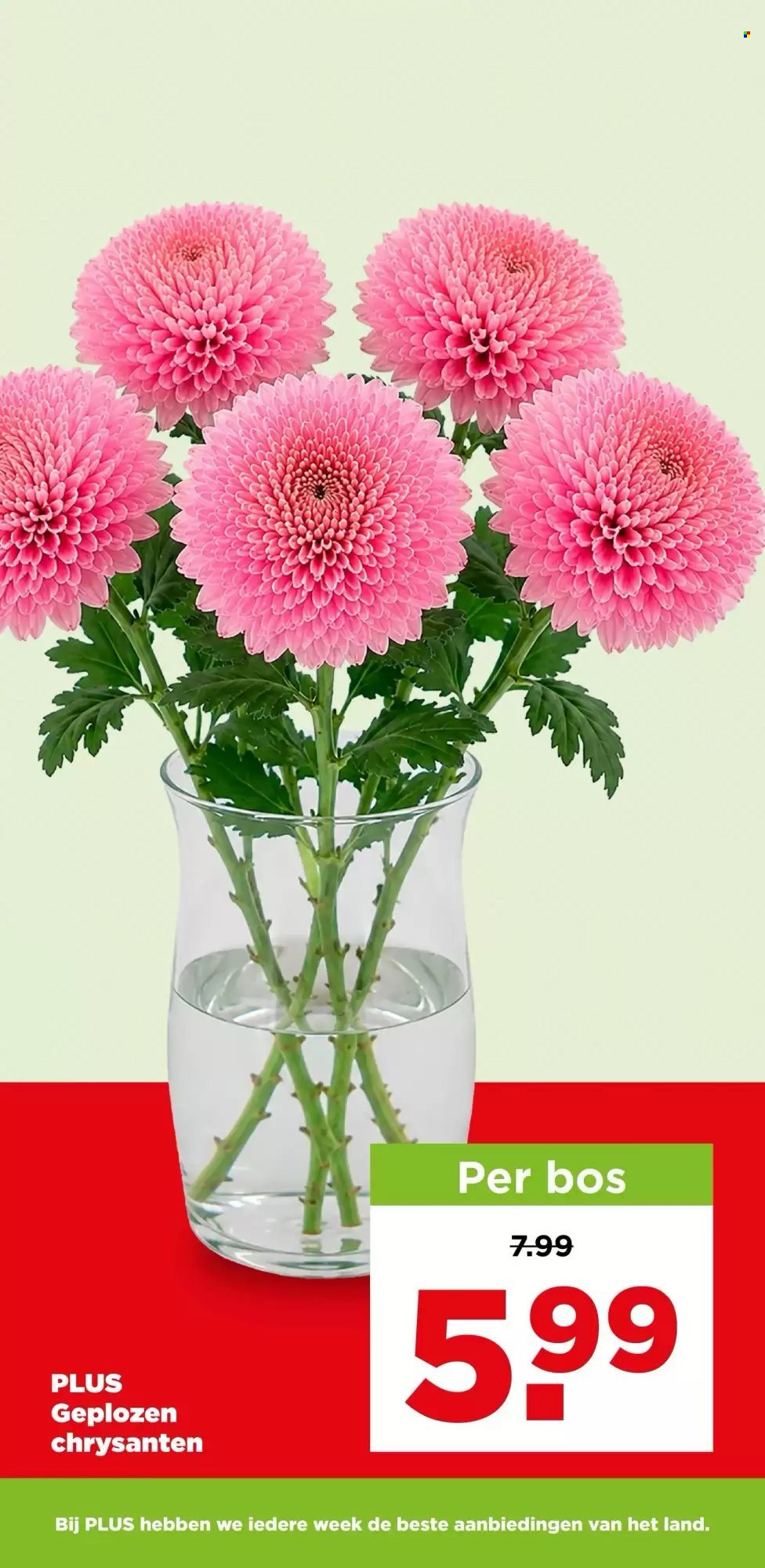 PLUS folder - Van woensdag 30 september 2026