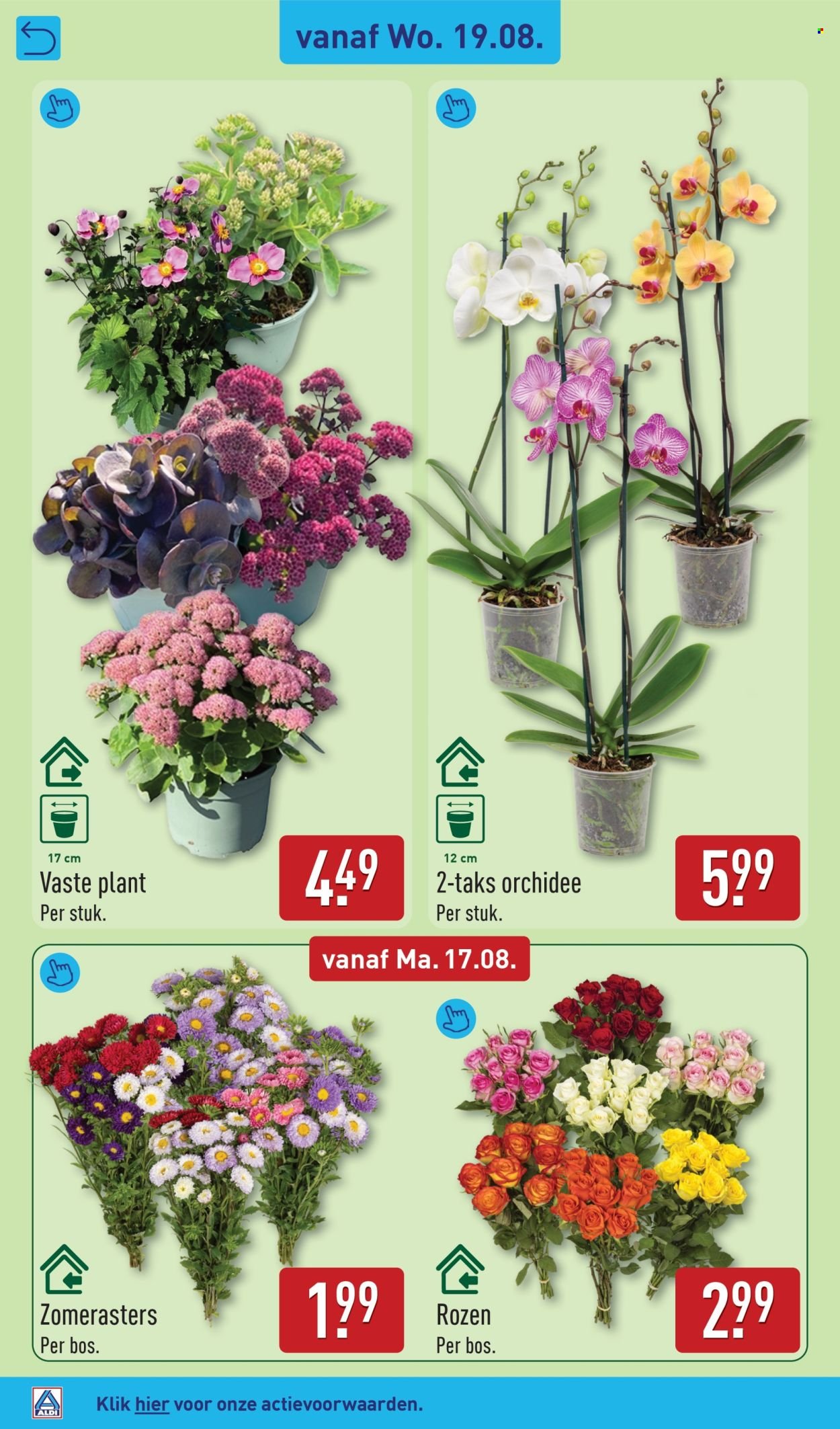 ALDI folder - Van maandag 17 augustus 2026