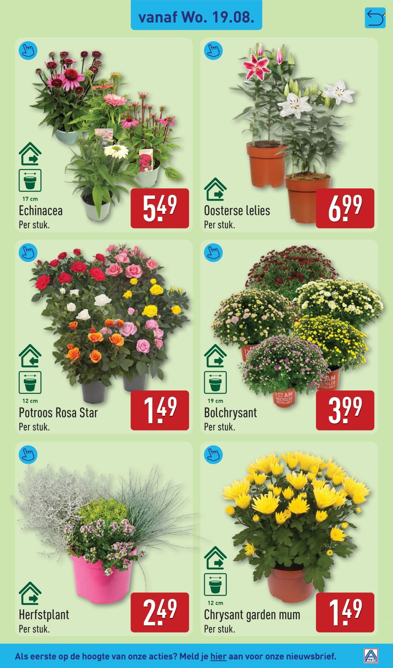 ALDI folder - Van maandag 17 augustus 2026