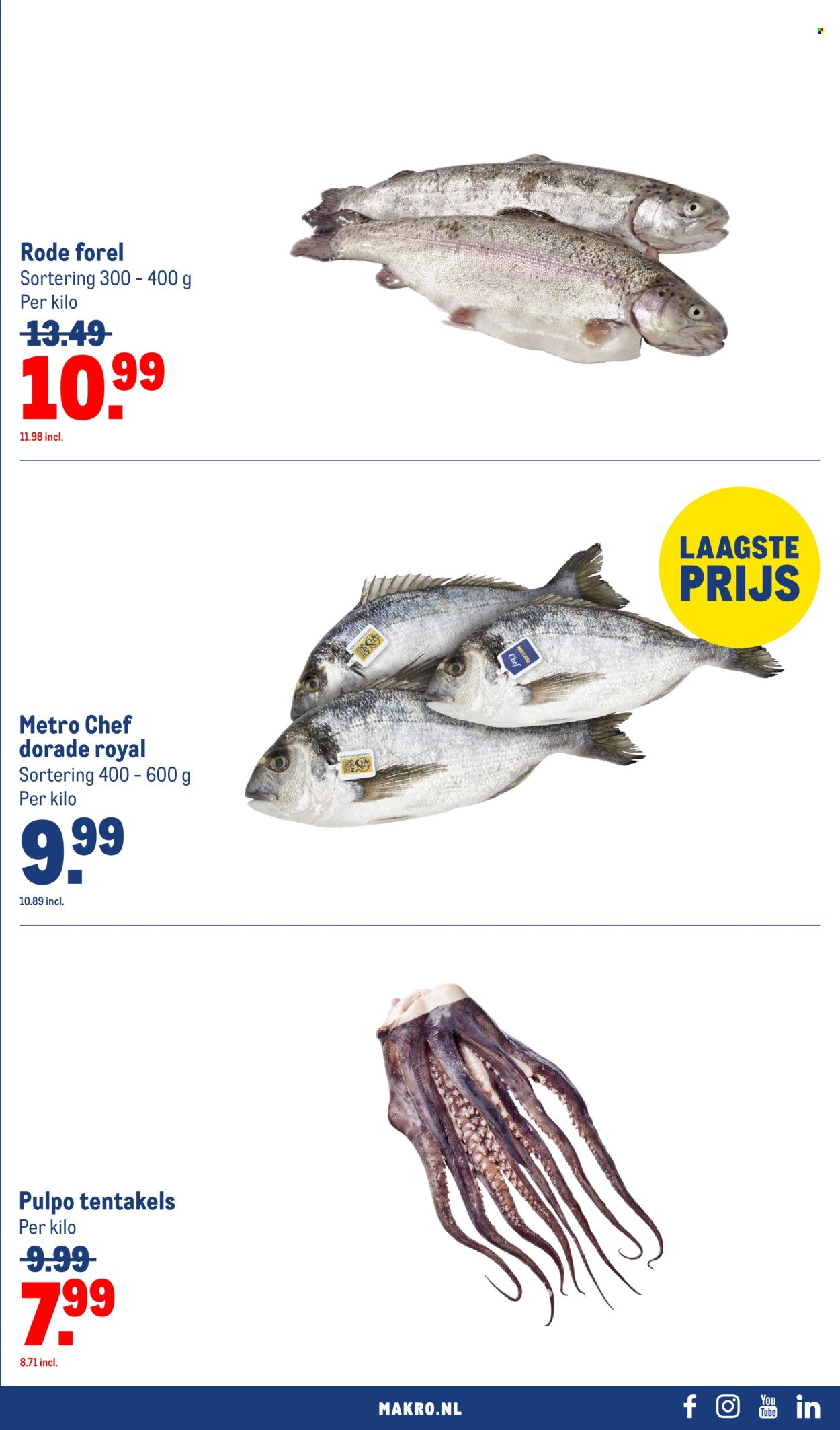 MAKRO folder - Food
