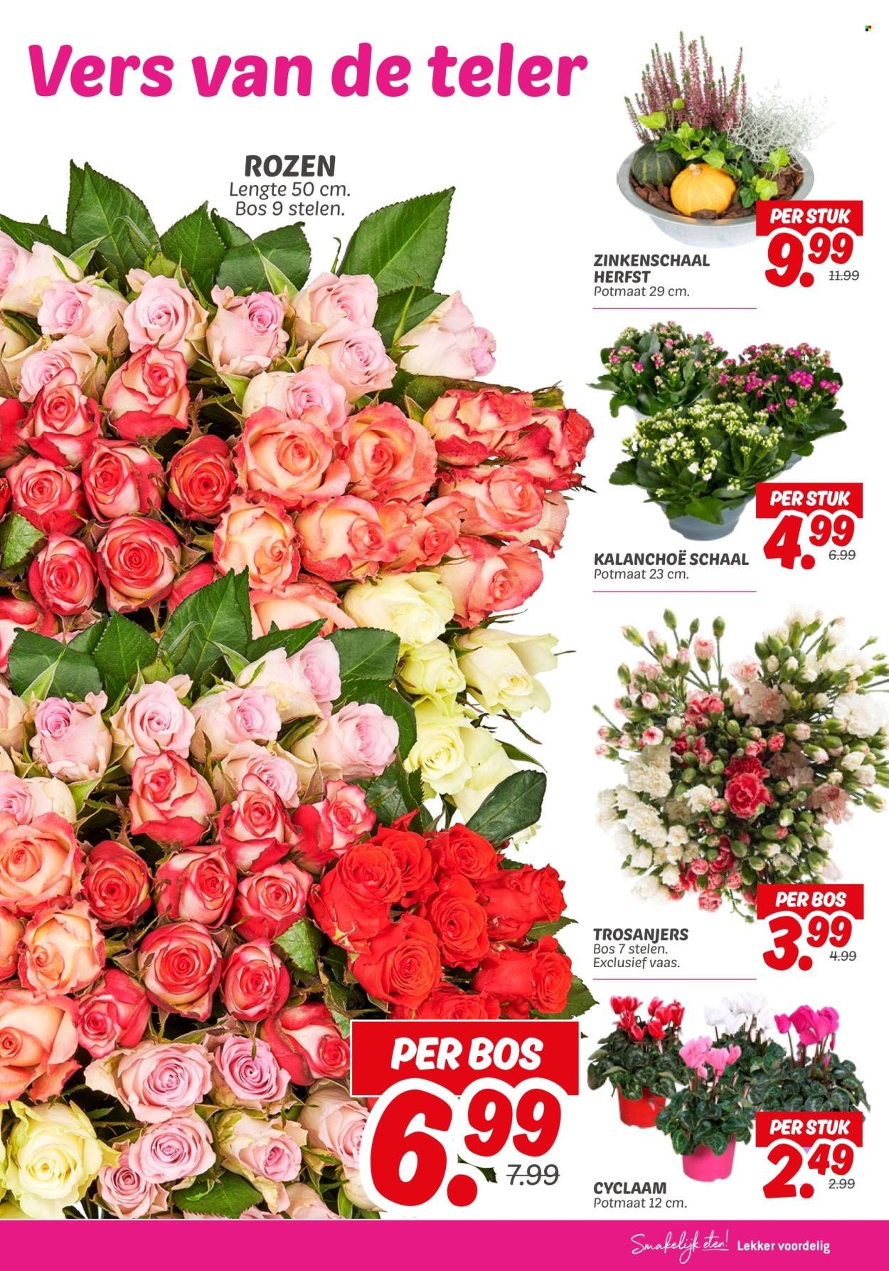 DEKAMARKT folder - Van dinsdag 14 oktober 2025 (2025-10-14 - 2025-10-20)