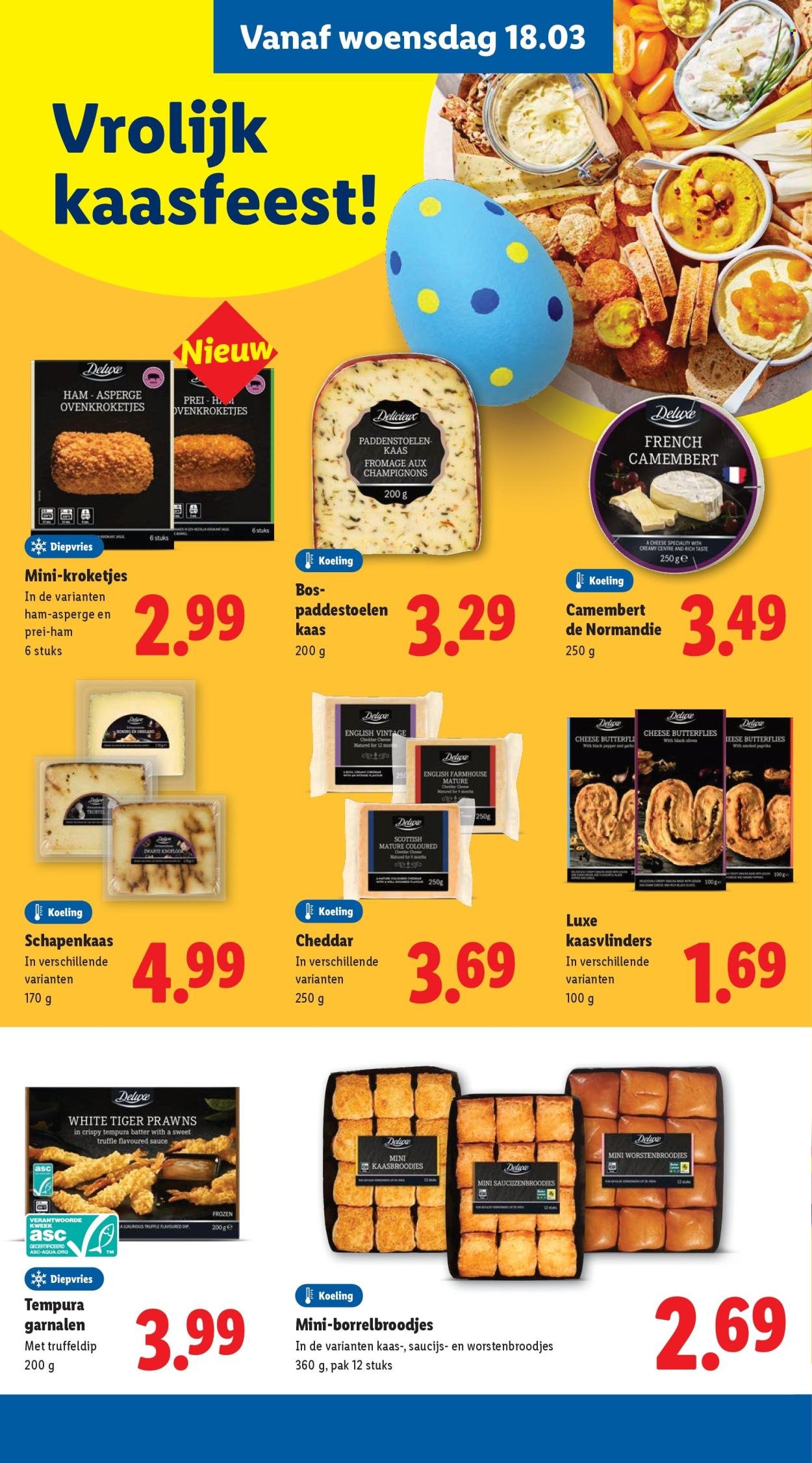 LIDL folder - Week 12