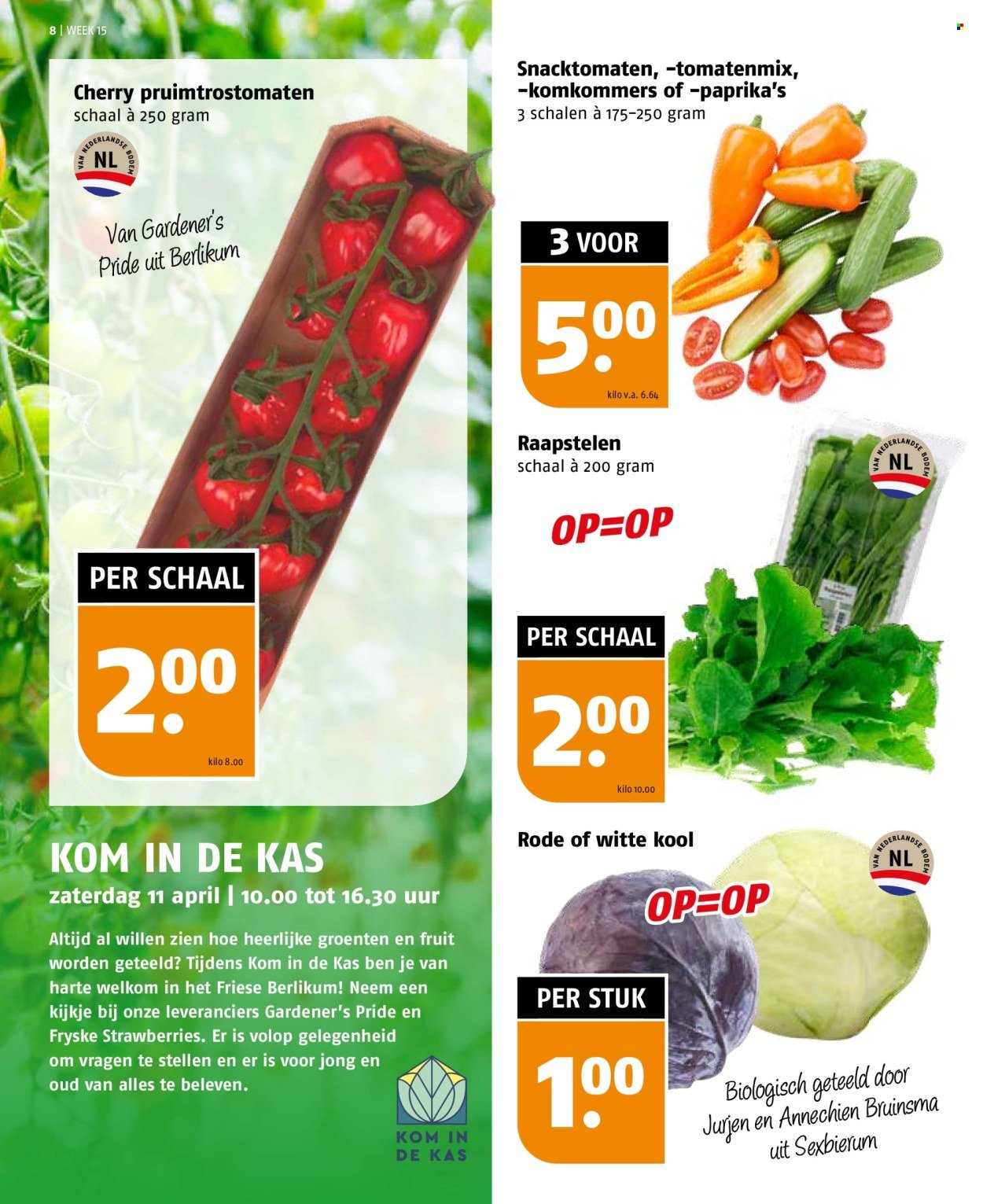 POIESZ folder - Week 15