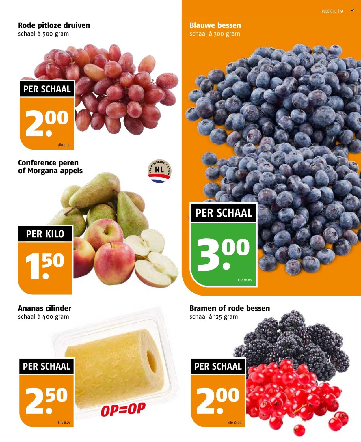 POIESZ folder - Week 15