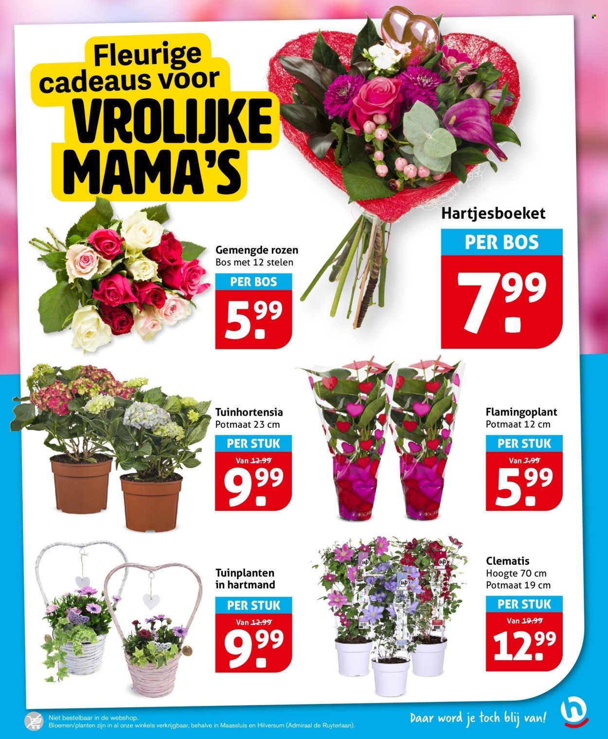 HOOGVLIET folder - Van woensdag 6 mei 2026