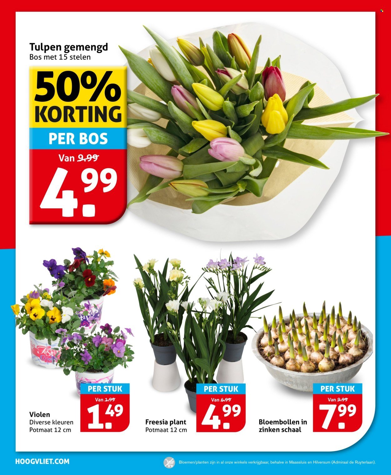 HOOGVLIET folder - Van woensdag 25 februari 2026