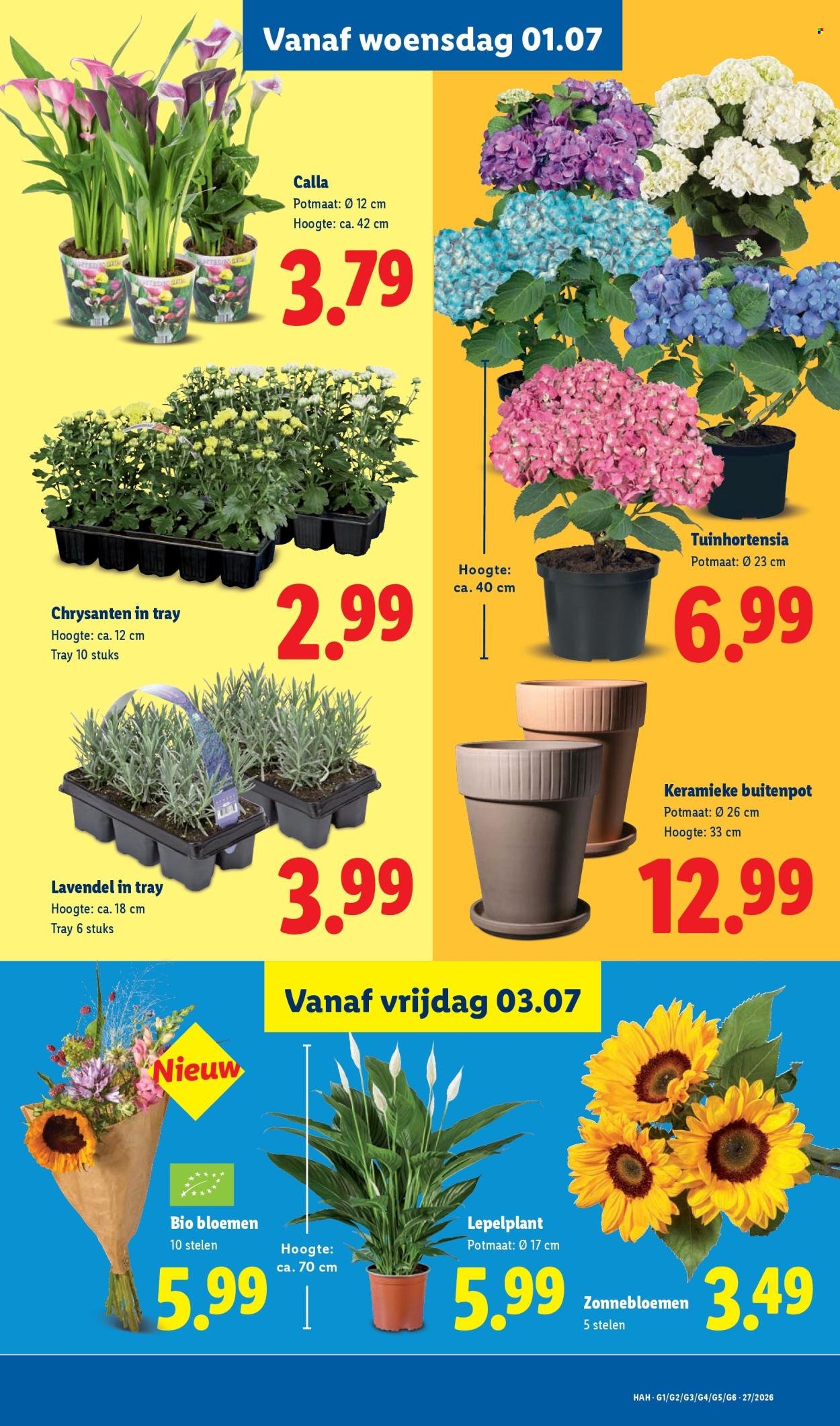 LIDL folder - Week 27