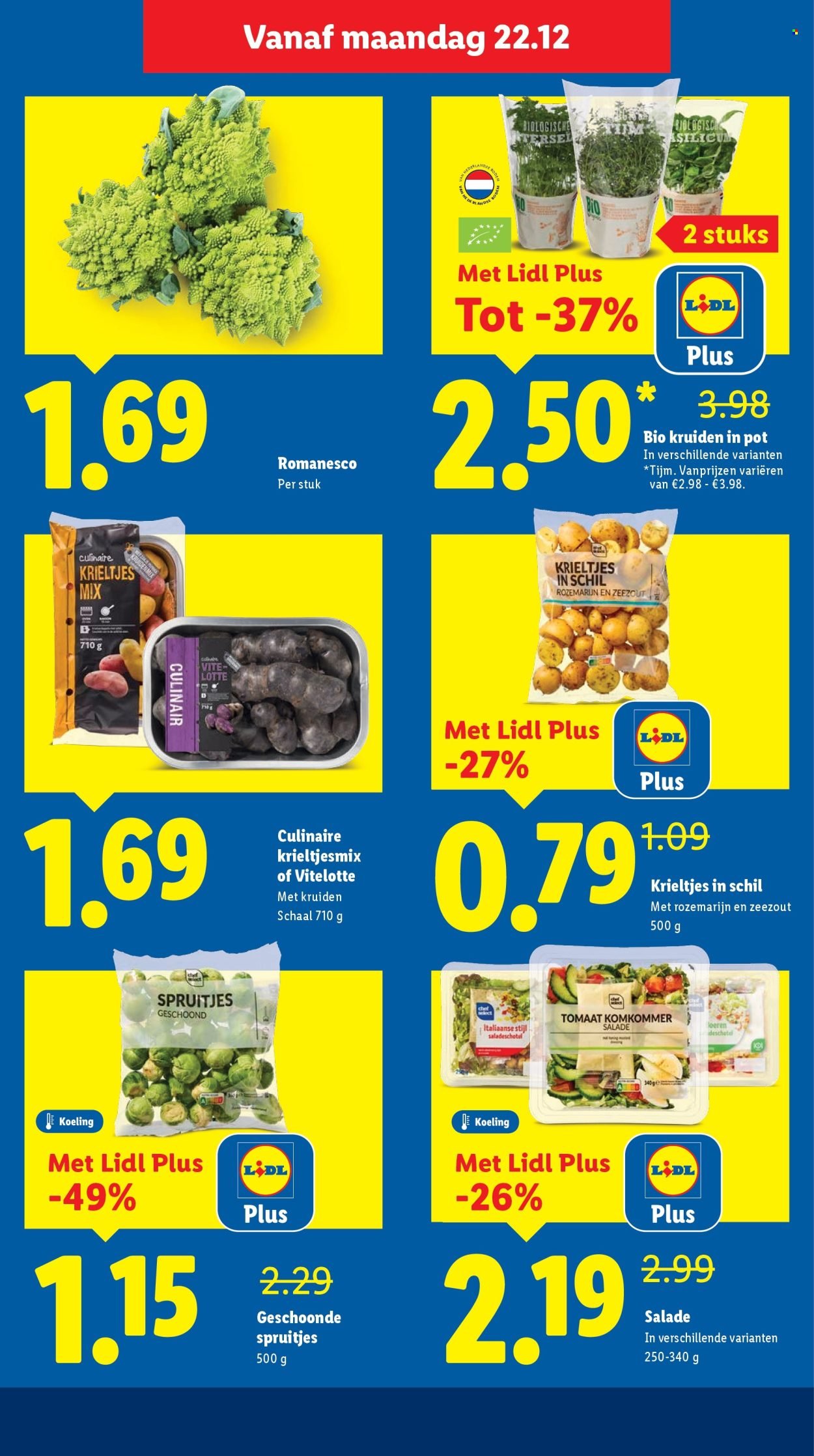 LIDL folder - Week 52