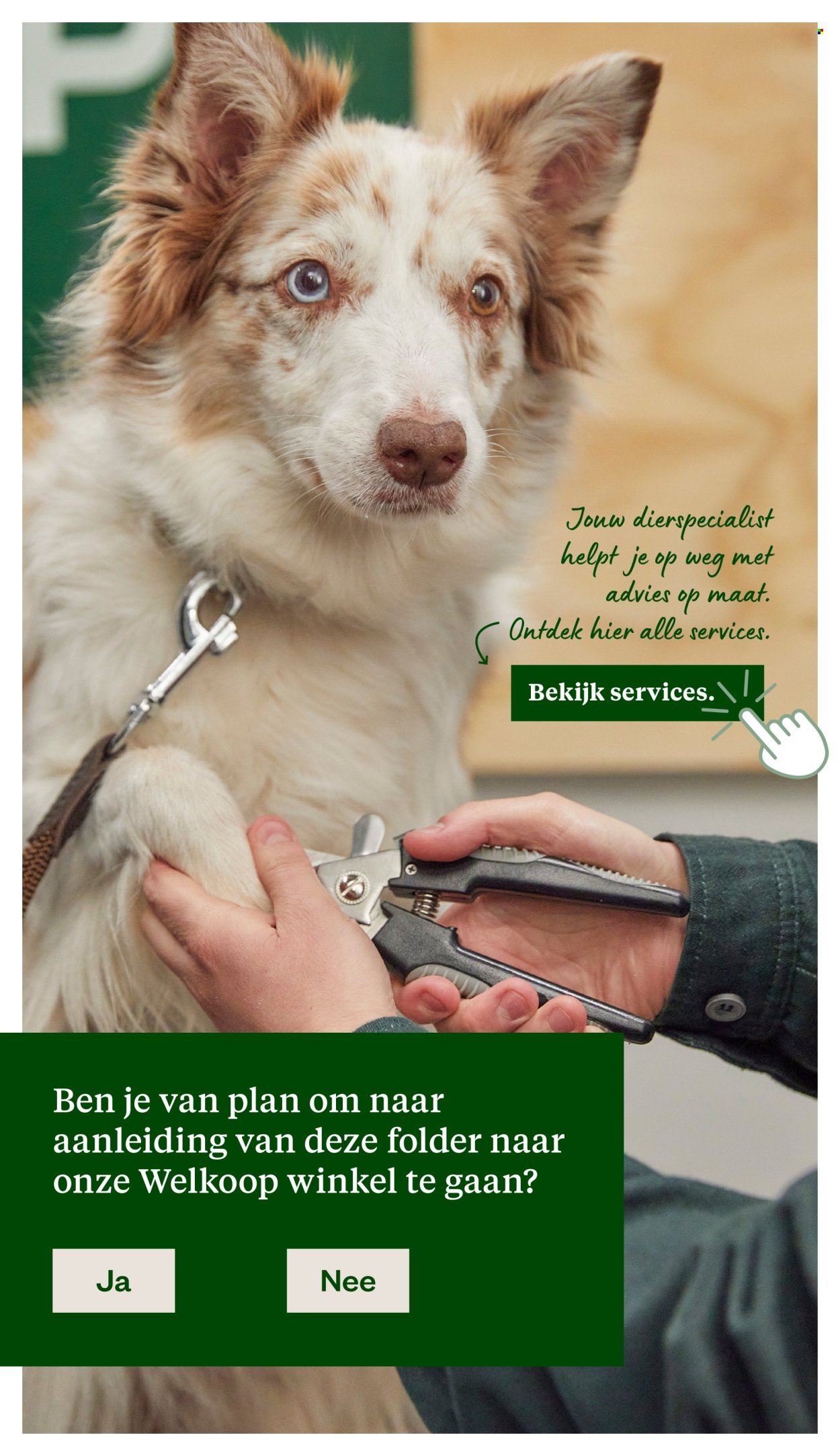 WELKOOP folder - Van maandag 19 januari 2026