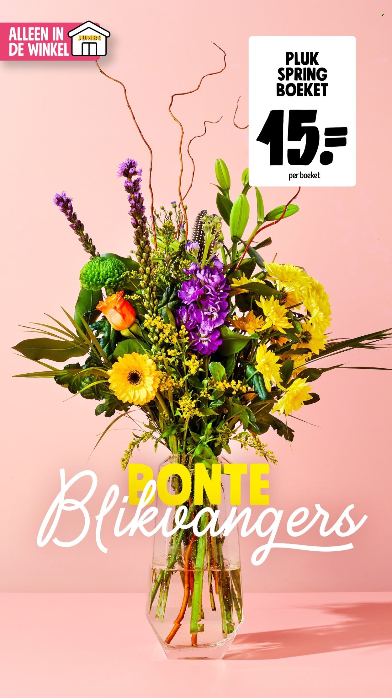 JUMBO folder - April 2026