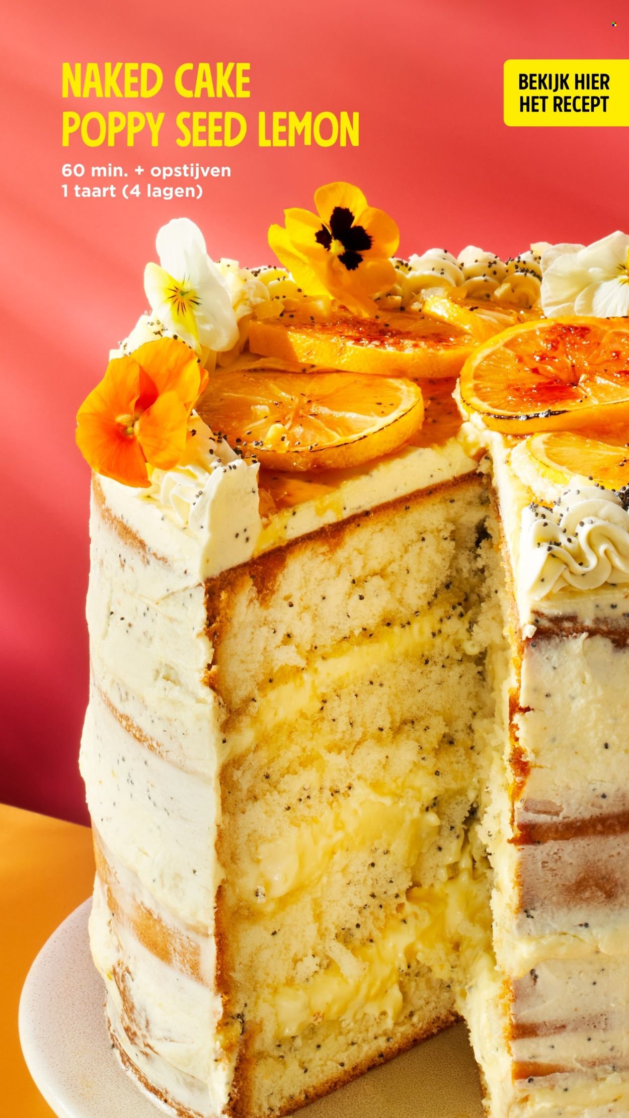 JUMBO folder - April 2026