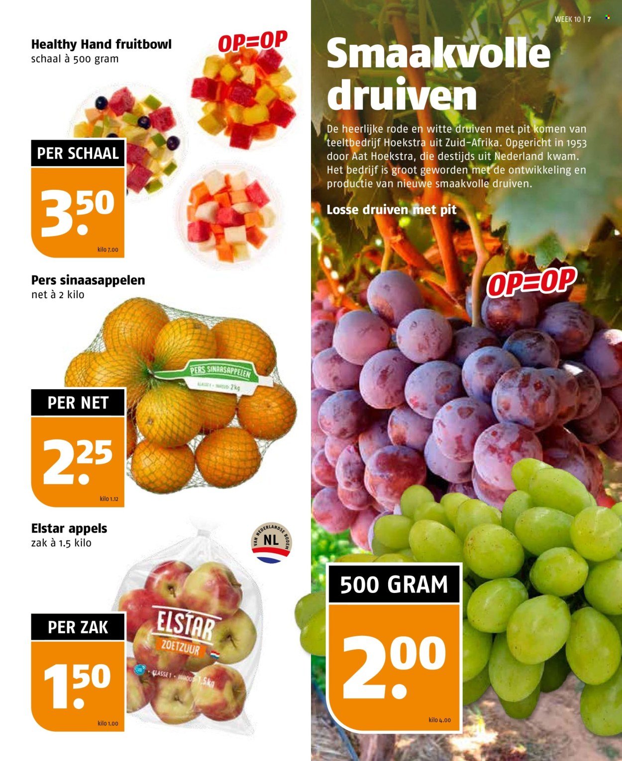 POIESZ folder - Week 10