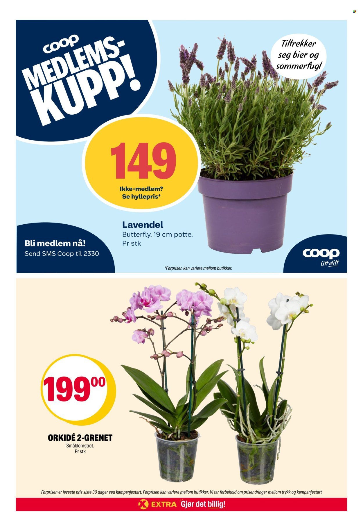 COOP EXTRA kundeavis - Uke 25