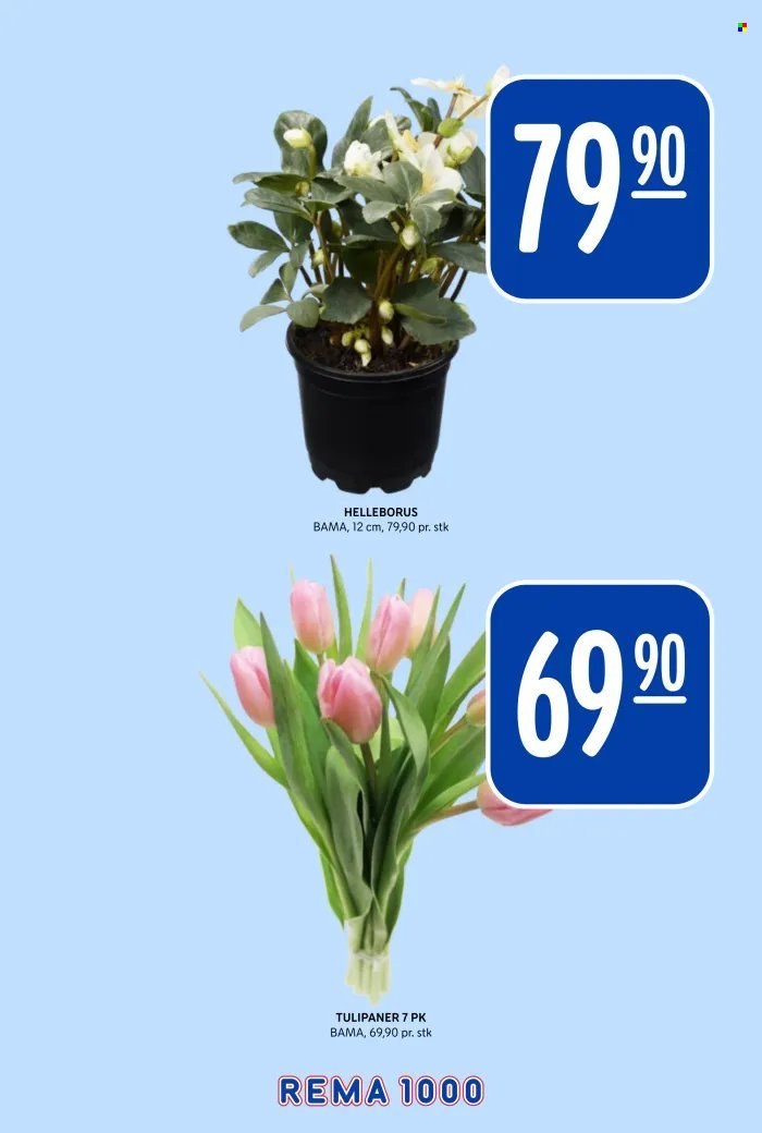 REMA 1000 kundeavis - Uke 44 (2025-10-27 - 2025-11-01)