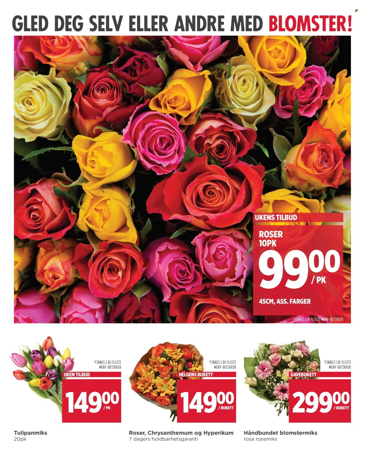 MENY kundeavis - Fra mandag 27. oktober 2025 (2025-10-27 - 2025-11-01)