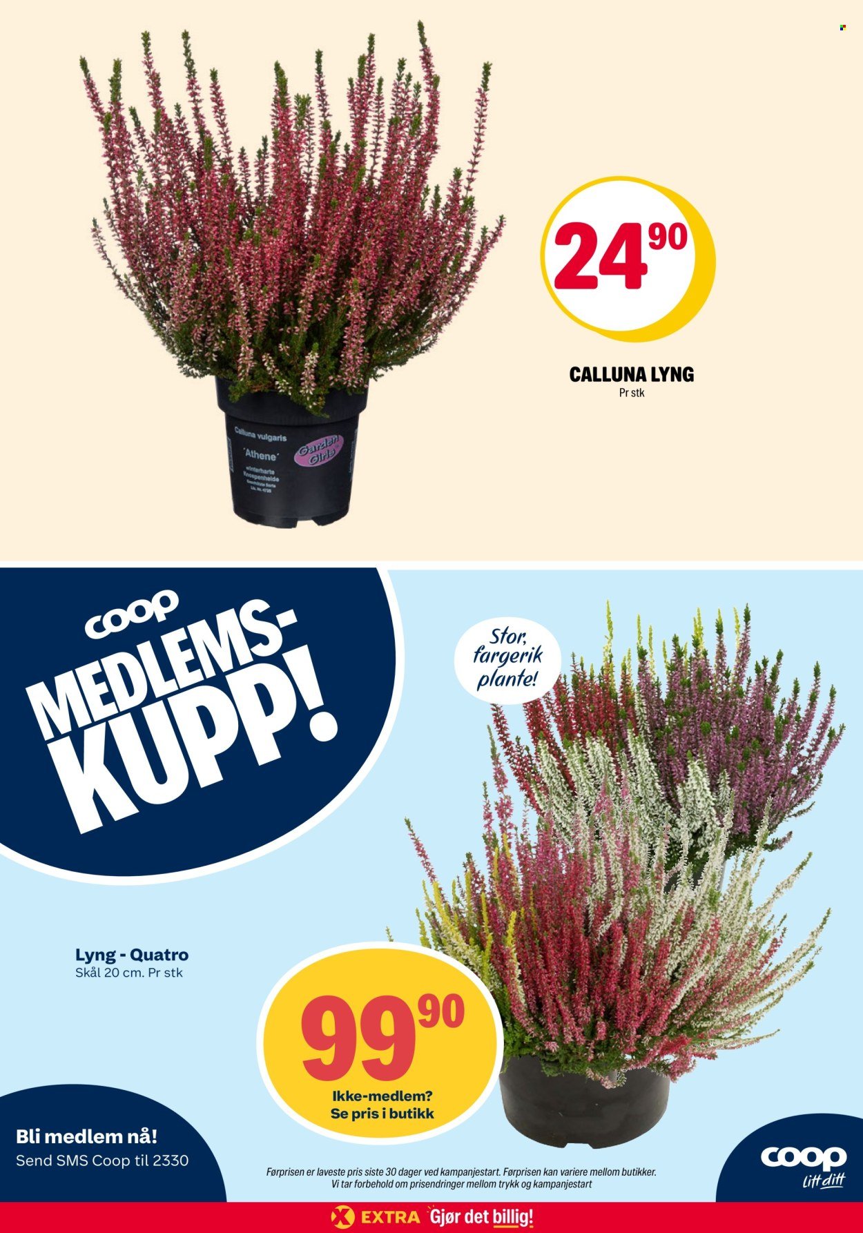 COOP EXTRA kundeavis - Uke 37