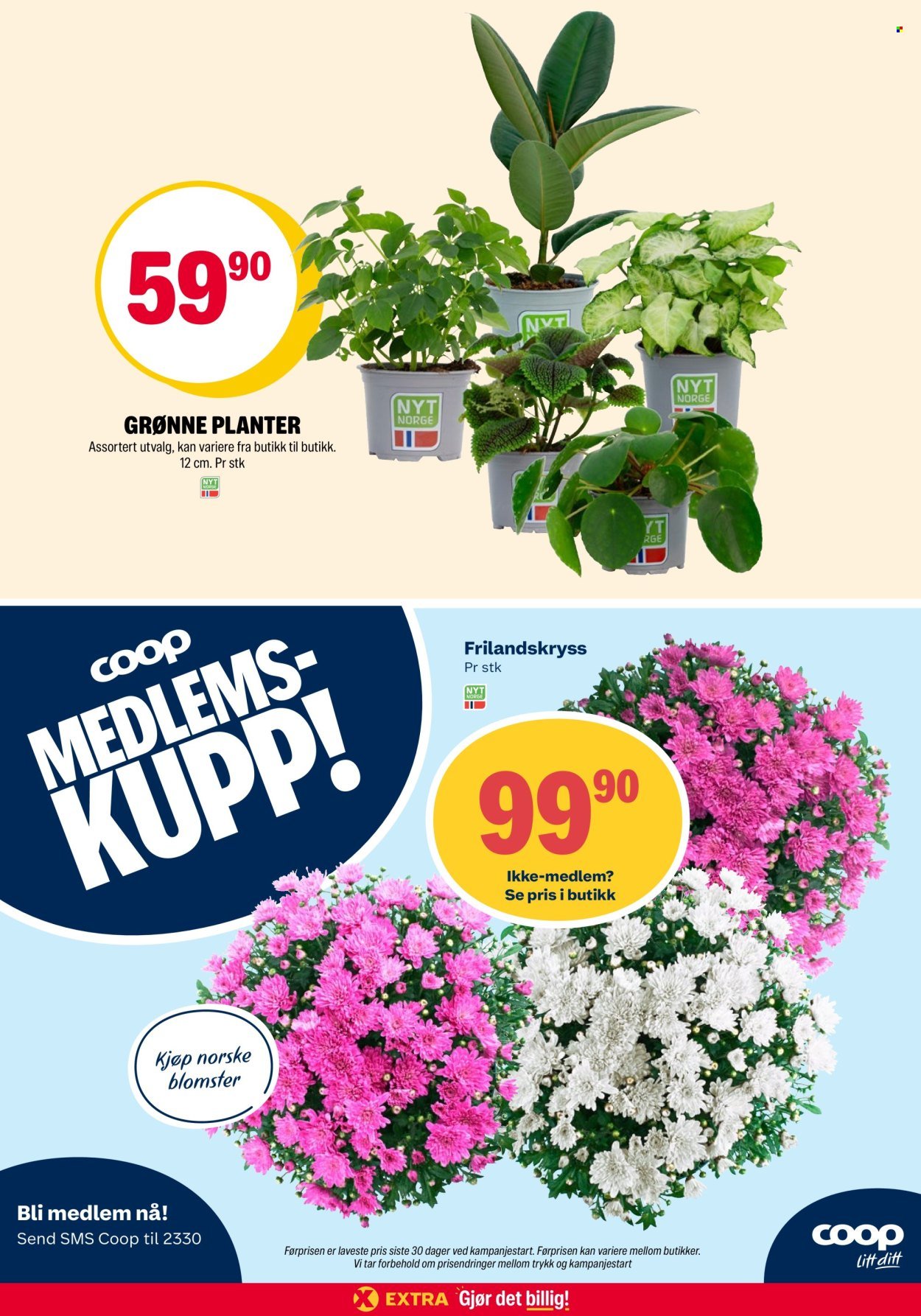 COOP EXTRA kundeavis - Uke 31
