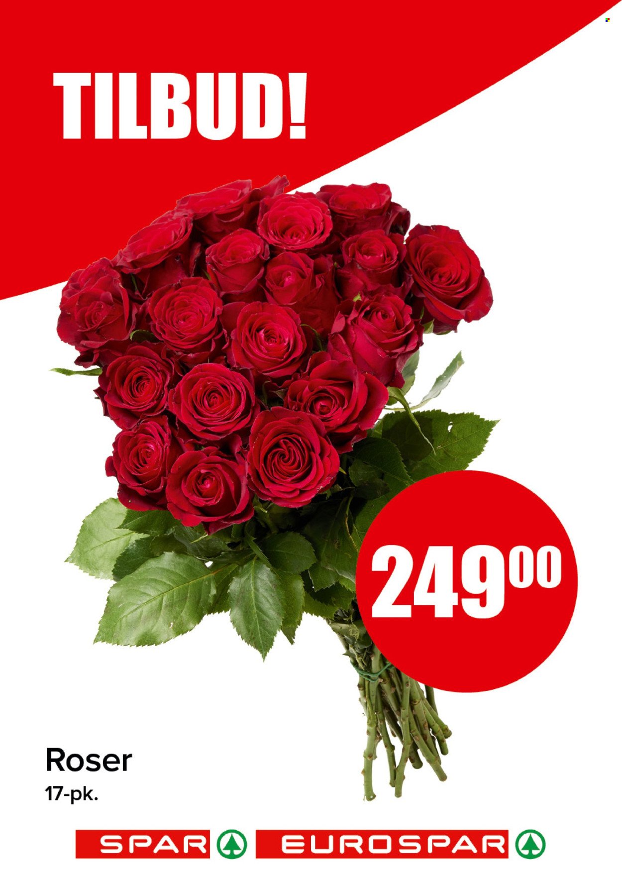 SPAR kundeavis - SPAR, EUROSPAR (2026-02-09 - 2026-02-15)