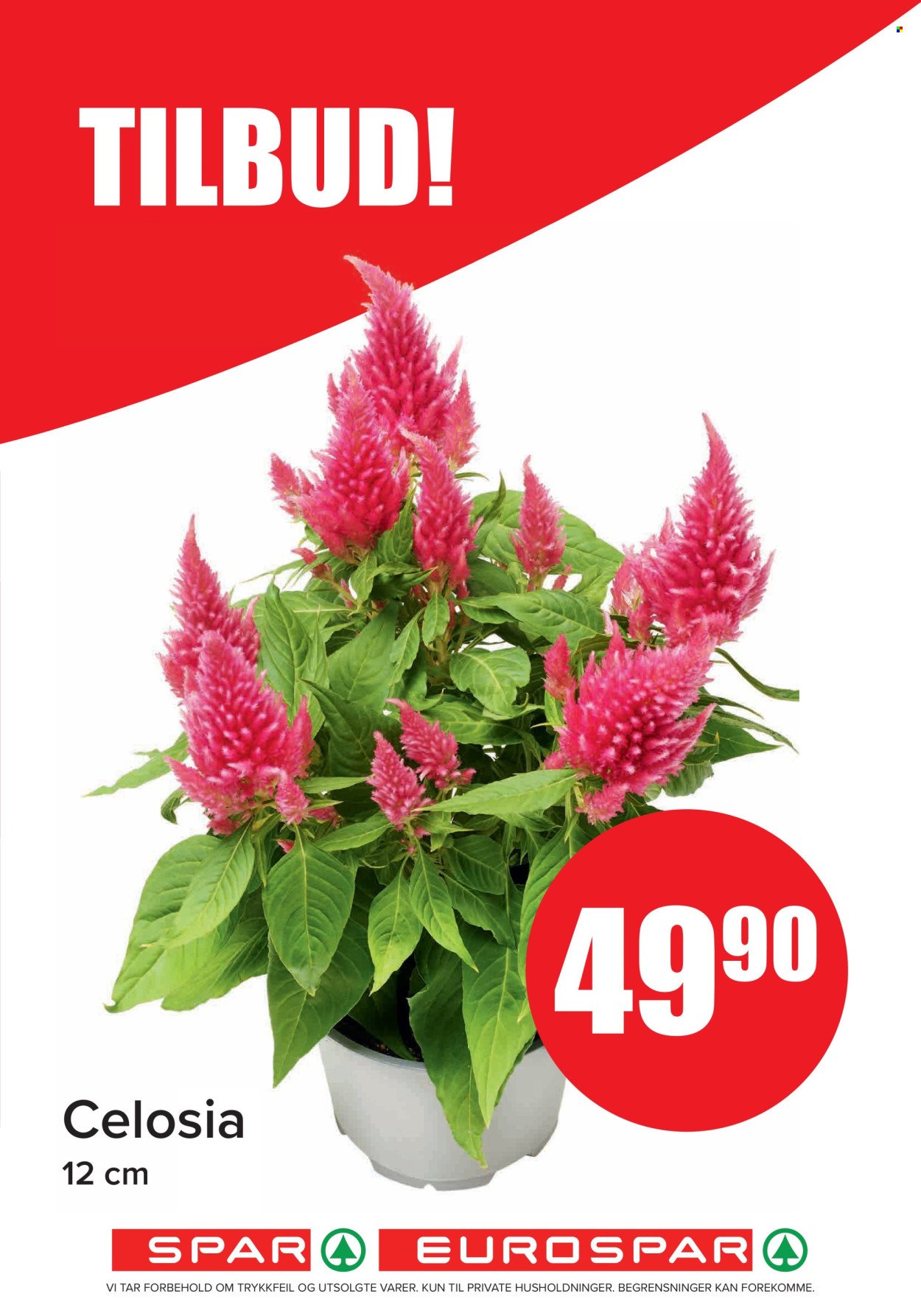 SPAR kundeavis - SPAR, EUROSPAR (2025-10-06 - 2025-10-12)