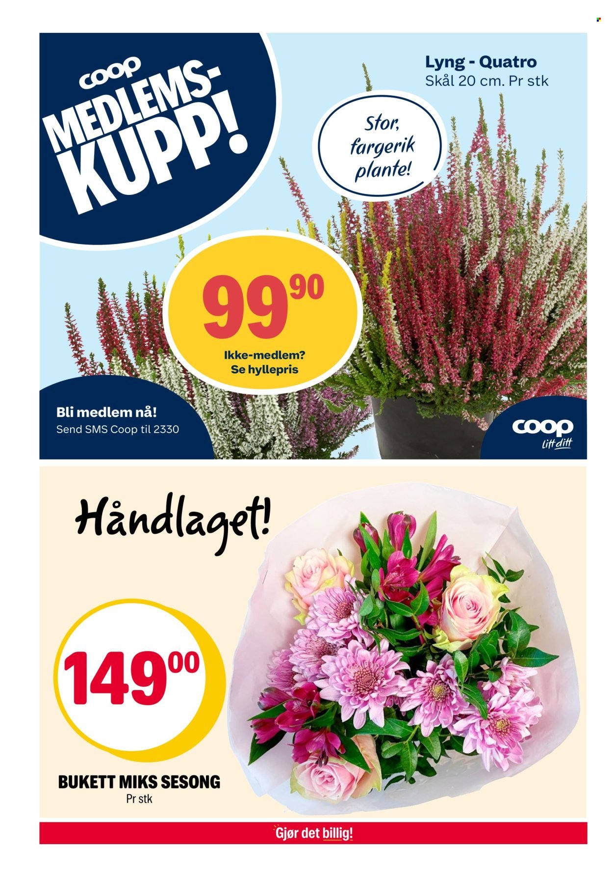 COOP EXTRA kundeavis - Uke 35 (2025-08-25 - 2025-08-31)