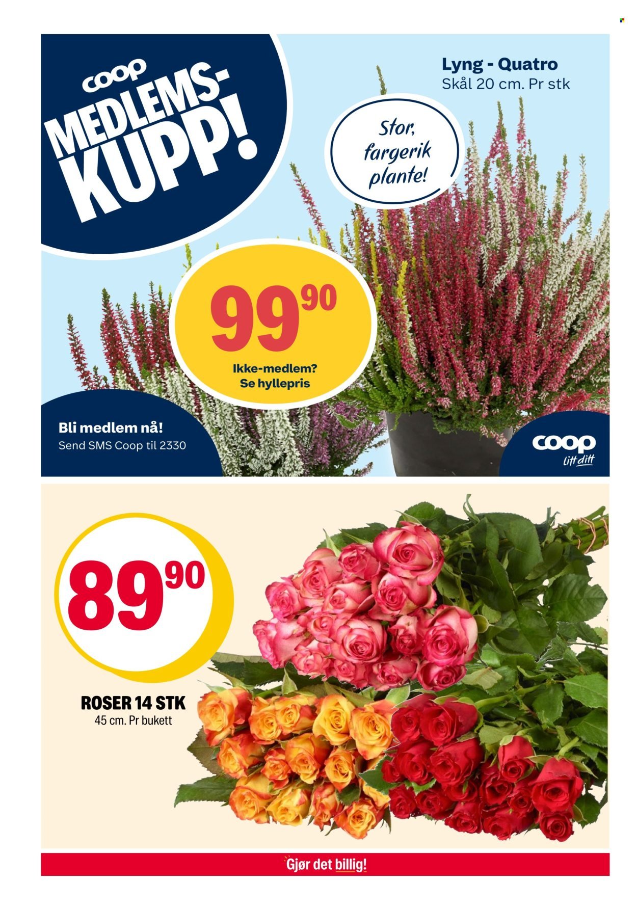 COOP EXTRA kundeavis - Uke 36 (2025-09-01 - 2025-09-07)
