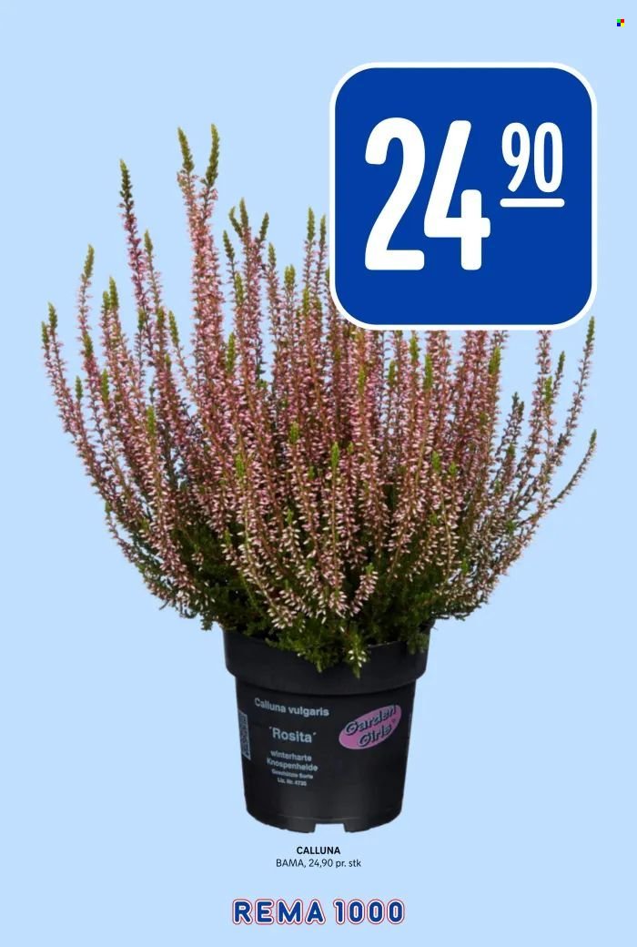 REMA 1000 kundeavis - Uke 34 (2025-08-18 - 2025-08-24)